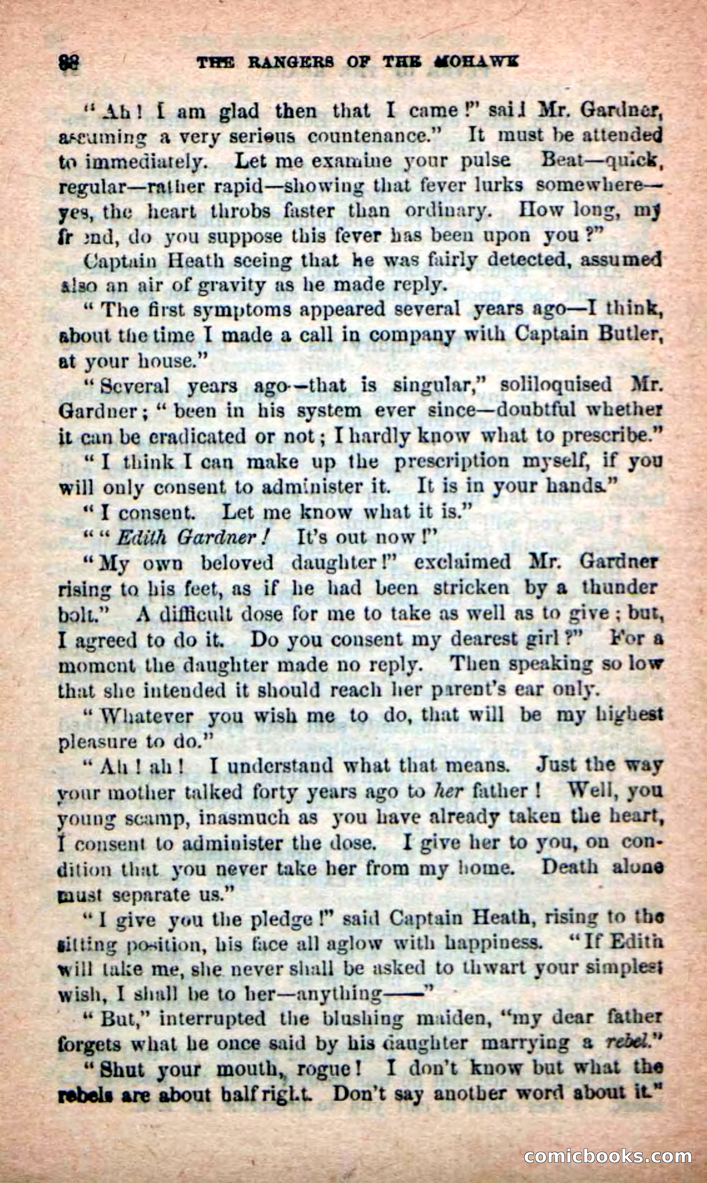 Beadle's New Dime Novels: Rangers of the Mohawk — page 88 of 108