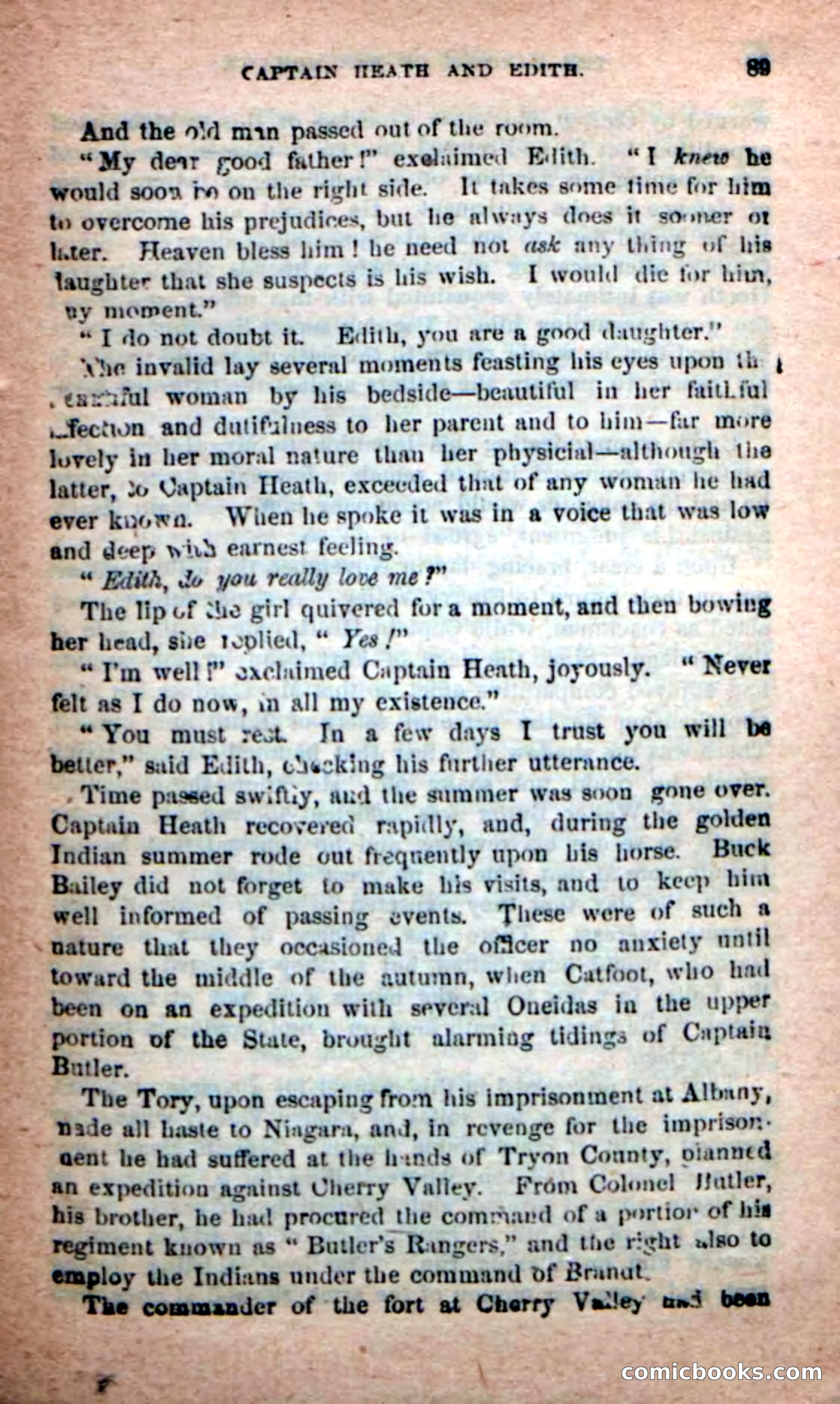 Beadle's New Dime Novels: Rangers of the Mohawk — page 89 of 108