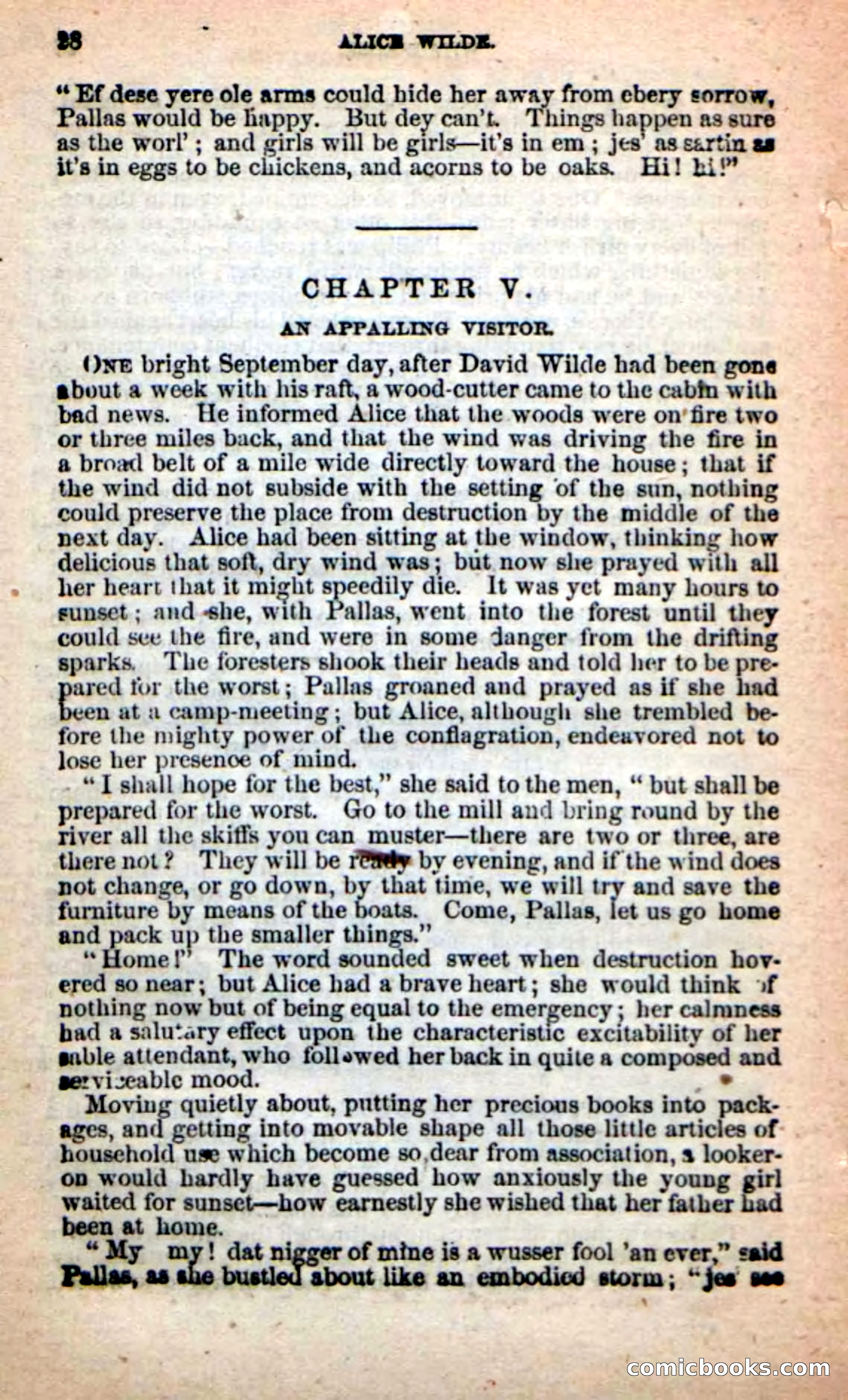 Beadle's New Dime Novels: Alice Wilde — page 24 of 100