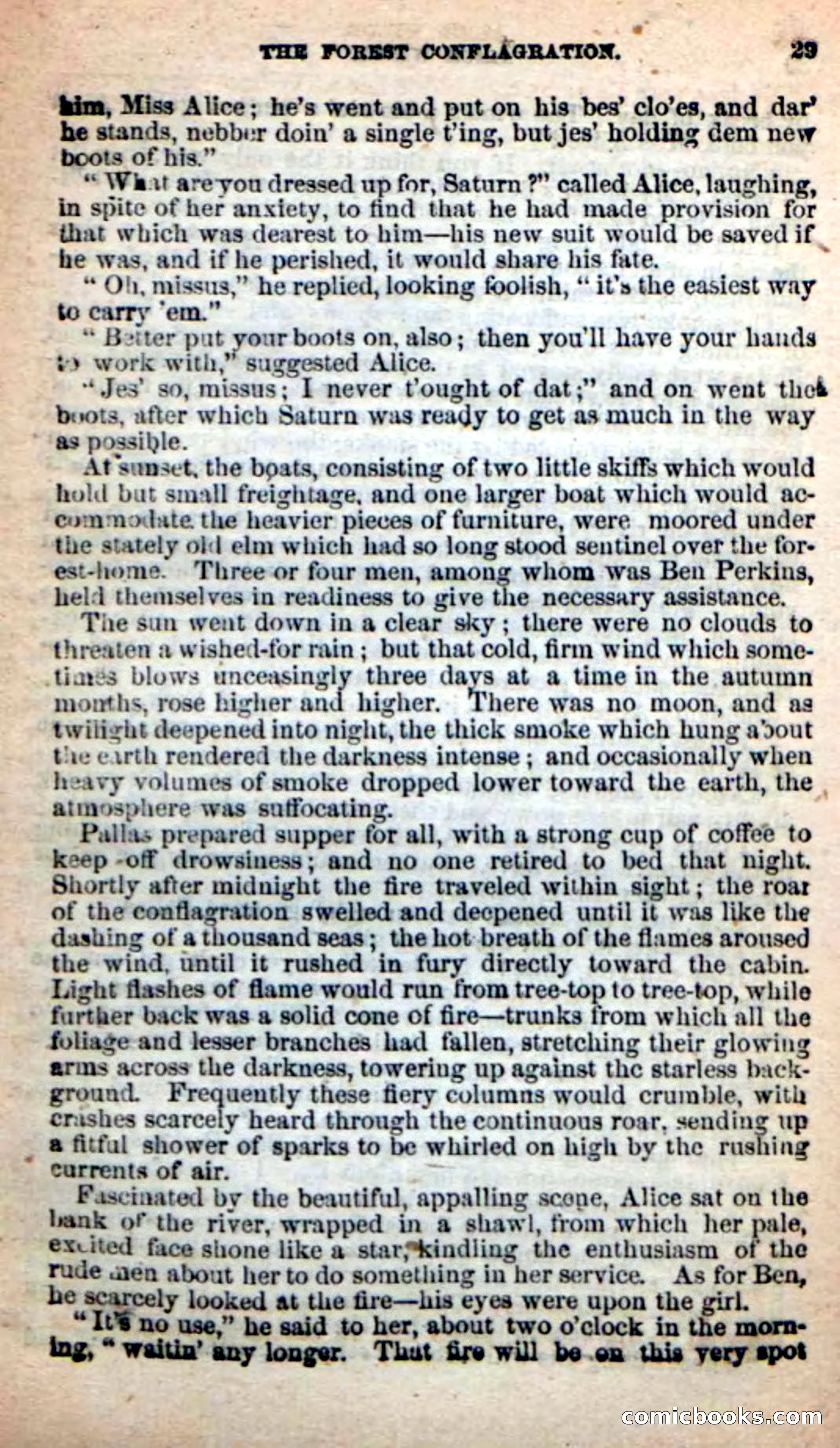 Beadle's New Dime Novels: Alice Wilde — page 25 of 100