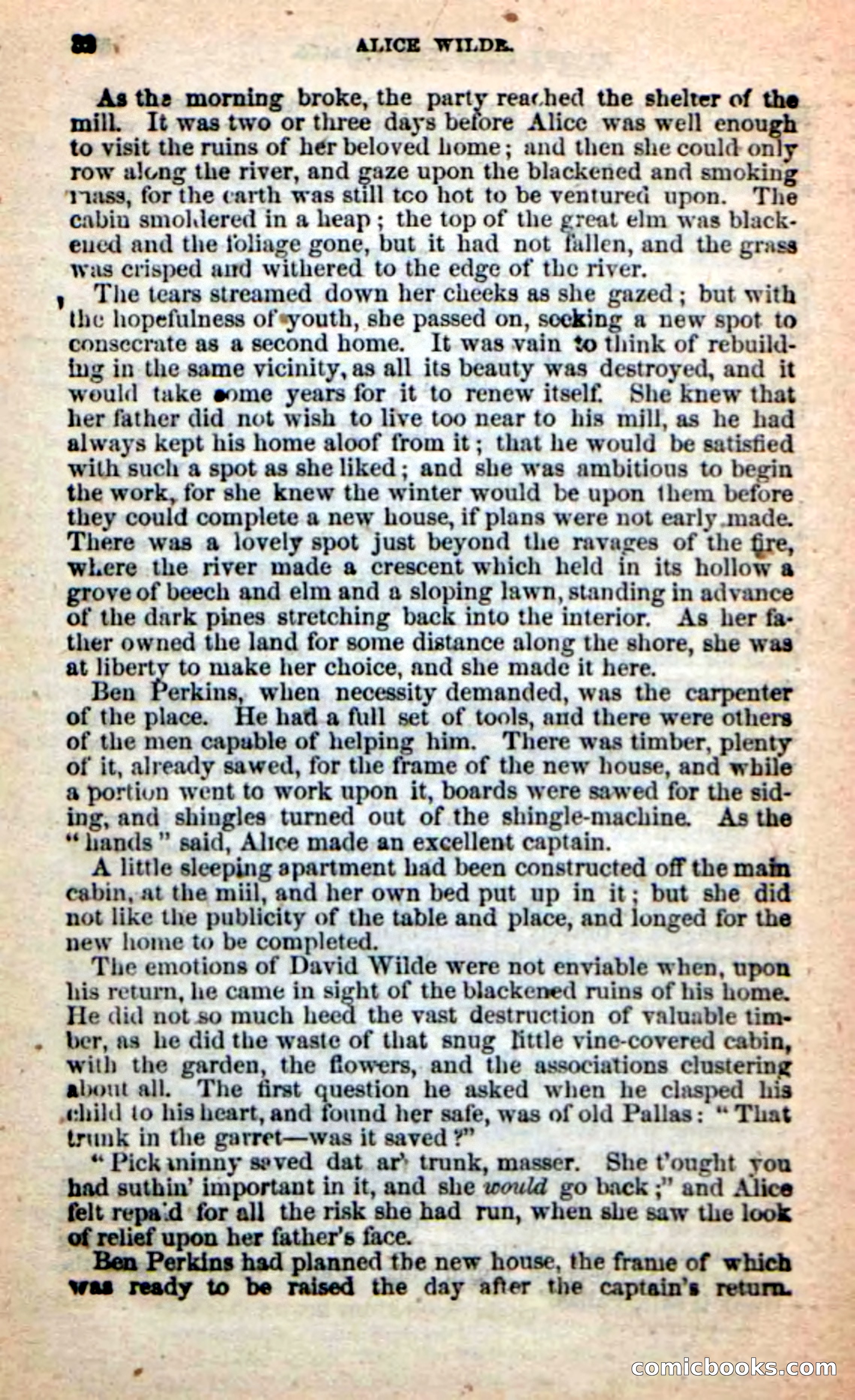 Beadle's New Dime Novels: Alice Wilde — page 28 of 100