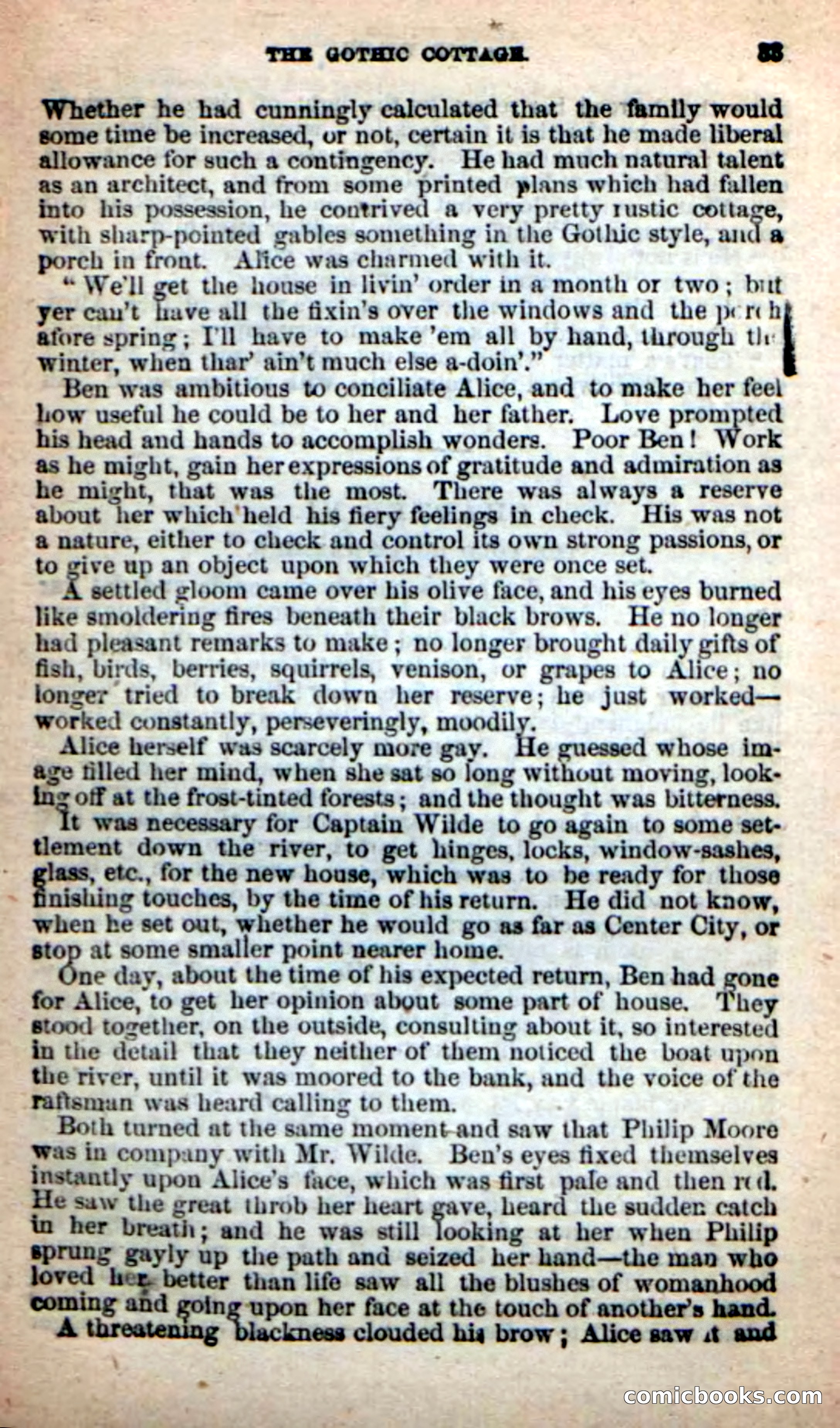 Beadle's New Dime Novels: Alice Wilde — page 29 of 100