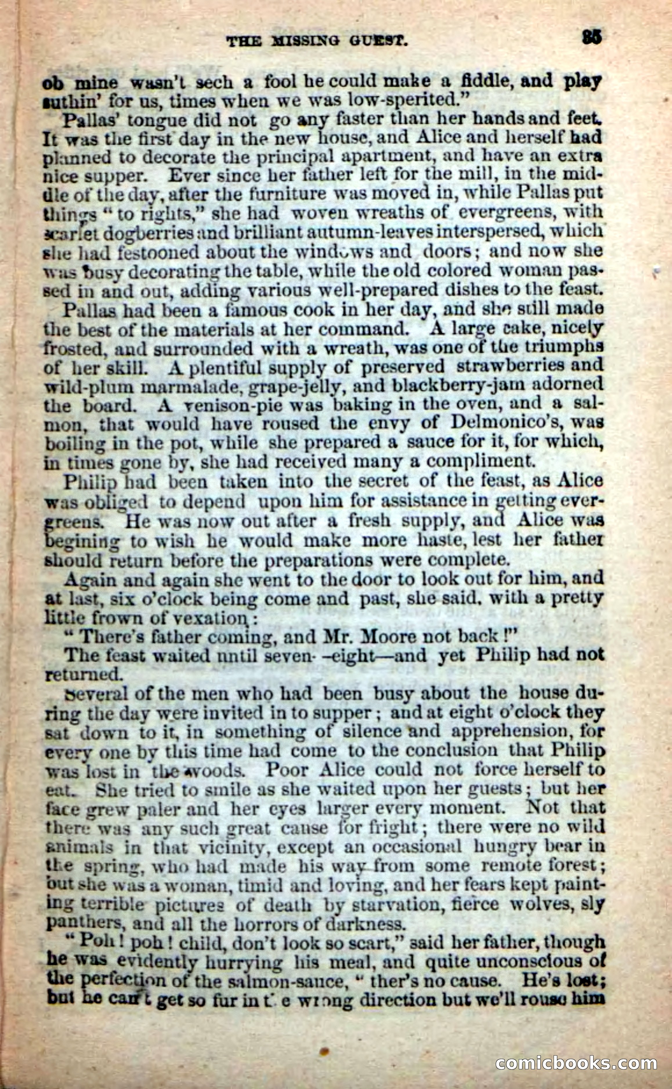 Beadle's New Dime Novels: Alice Wilde — page 31 of 100