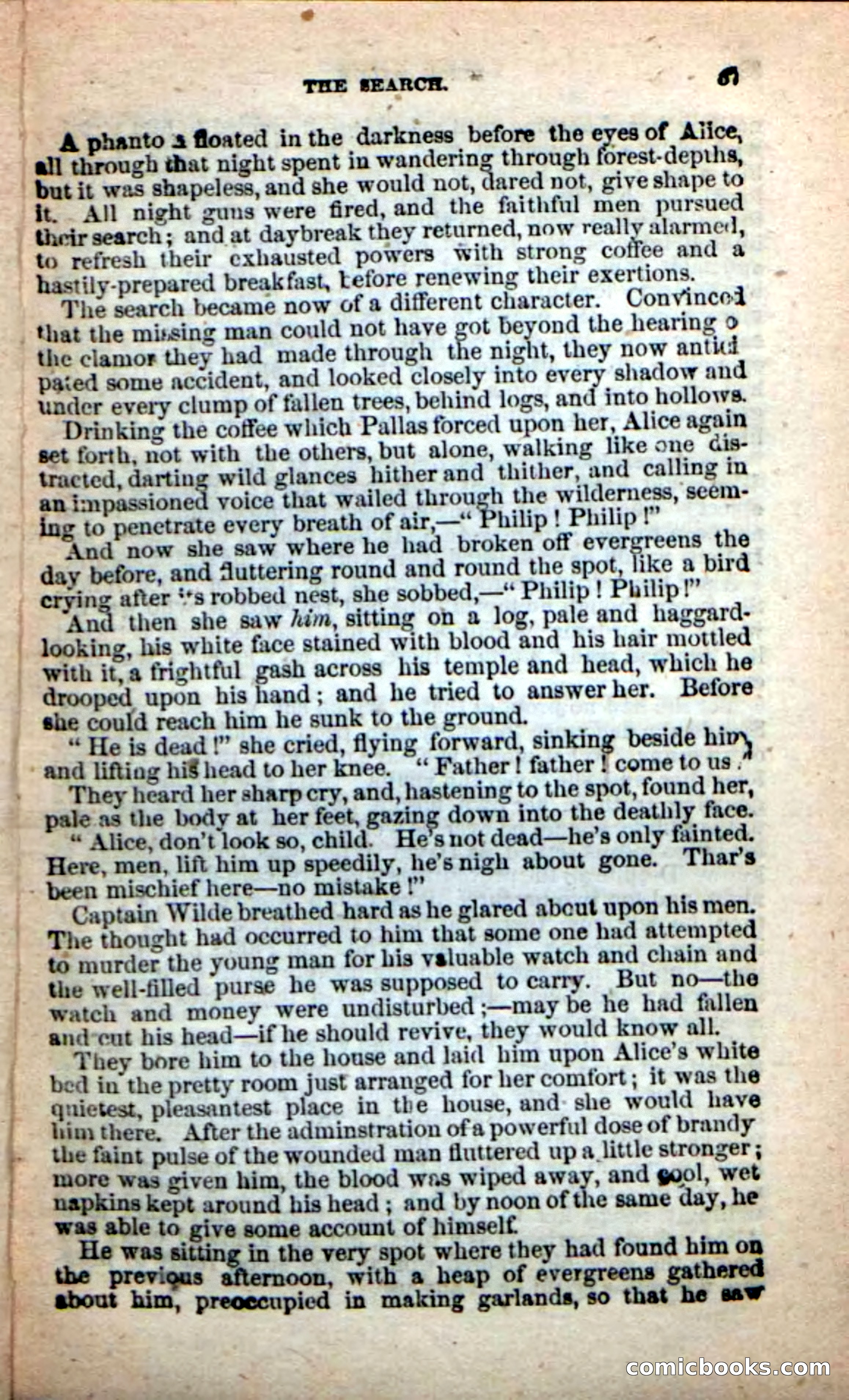 Beadle's New Dime Novels: Alice Wilde — page 33 of 100