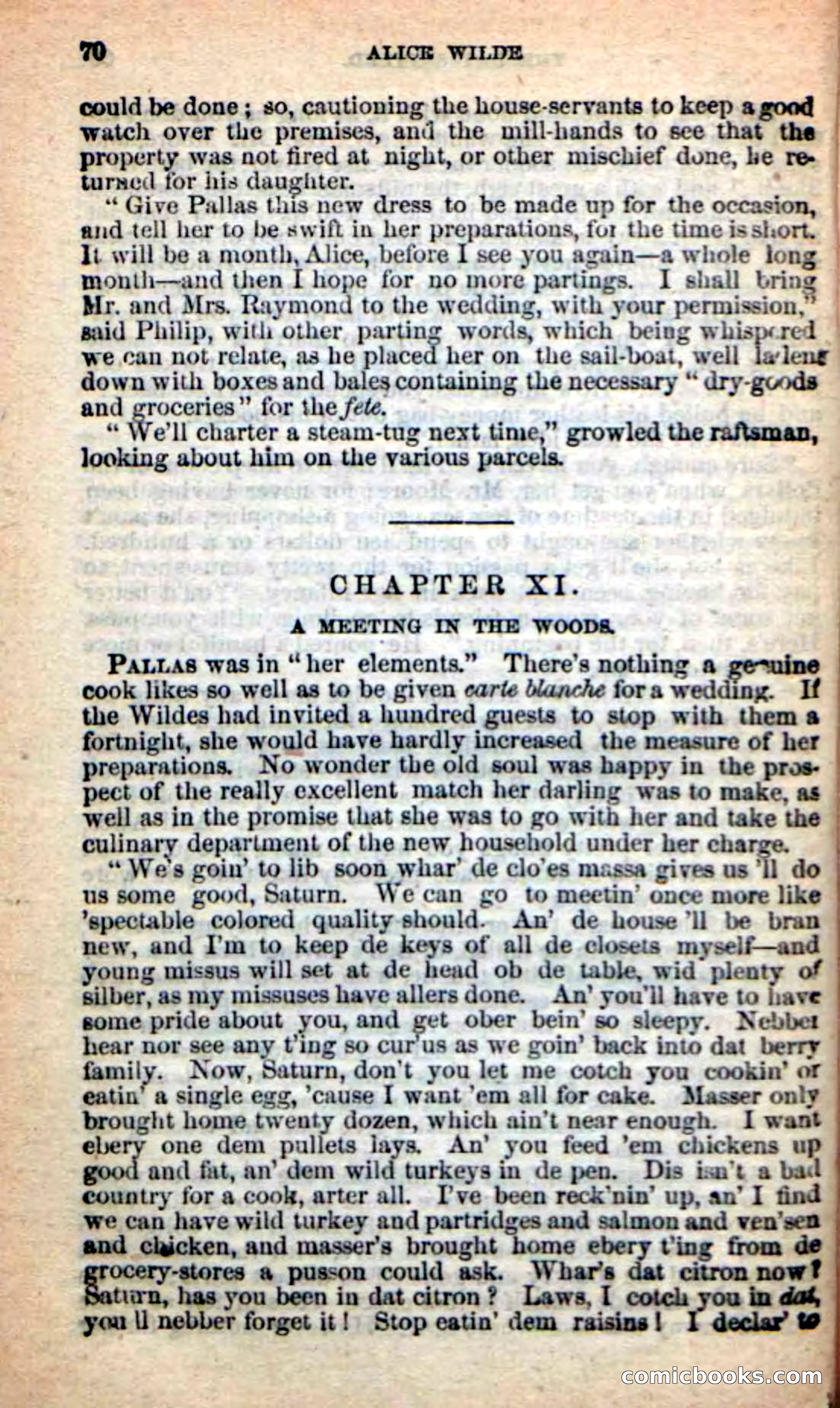 Beadle's New Dime Novels: Alice Wilde — page 66 of 100