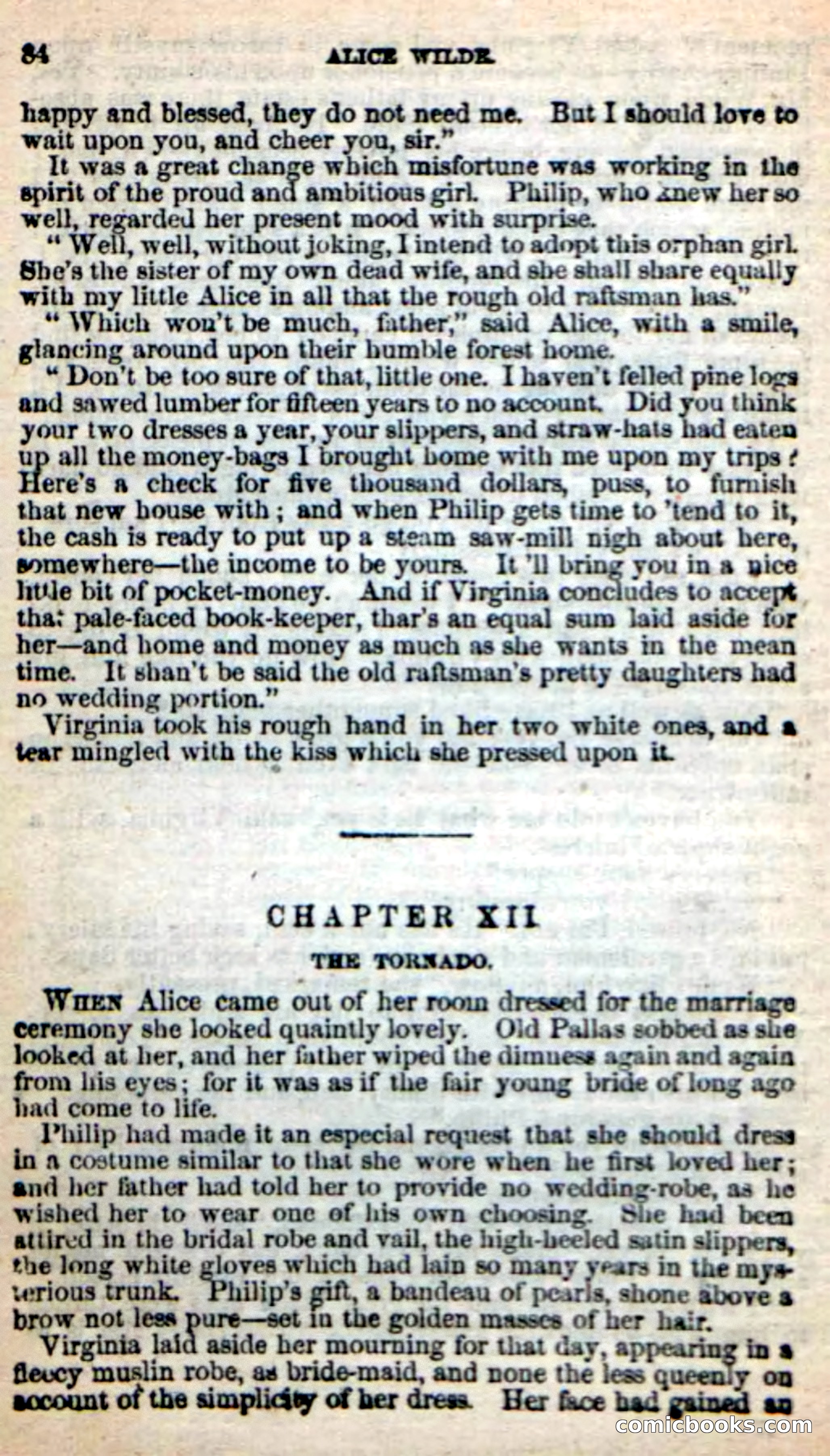 Beadle's New Dime Novels: Alice Wilde — page 80 of 100