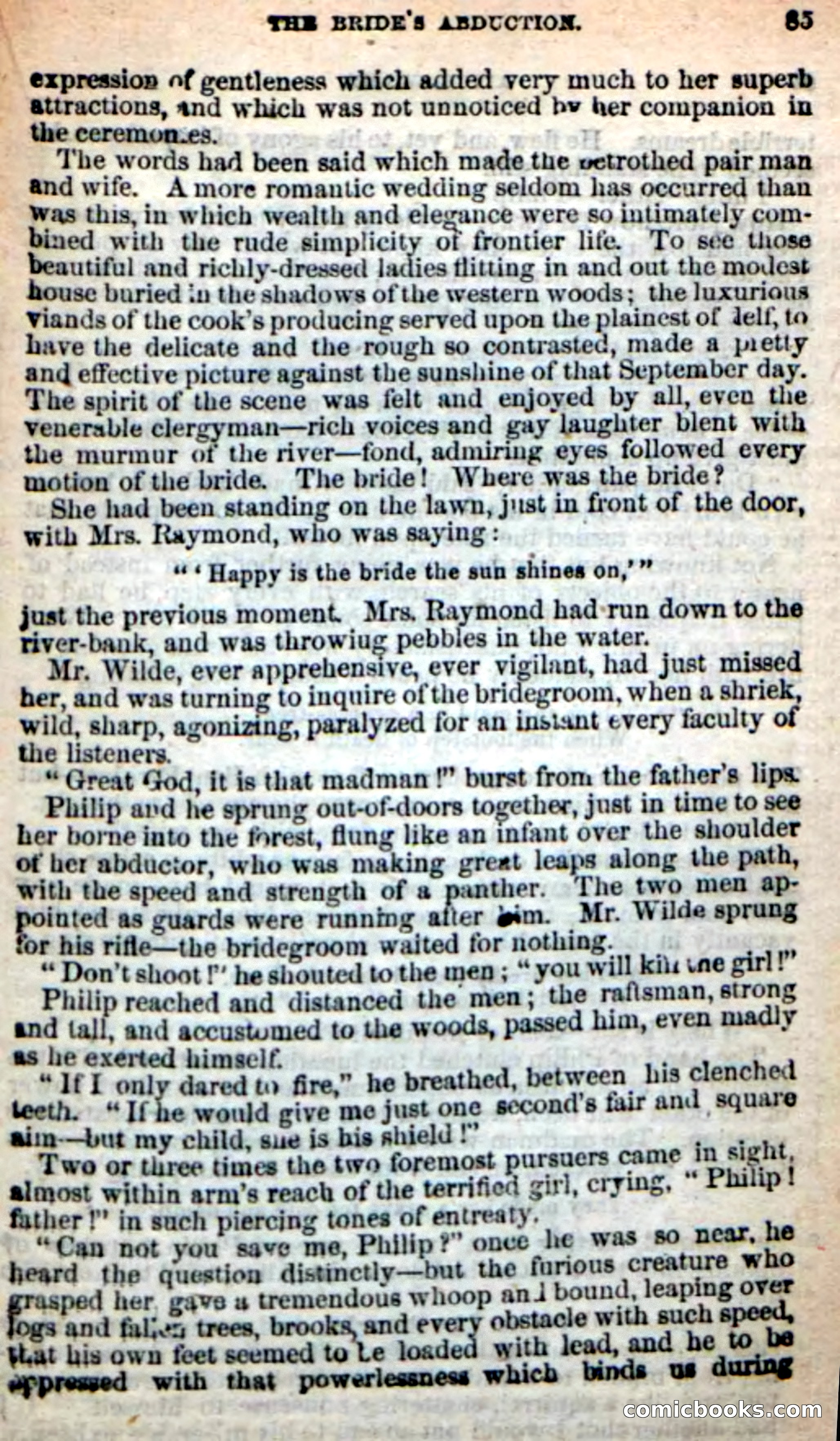 Beadle's New Dime Novels: Alice Wilde — page 81 of 100