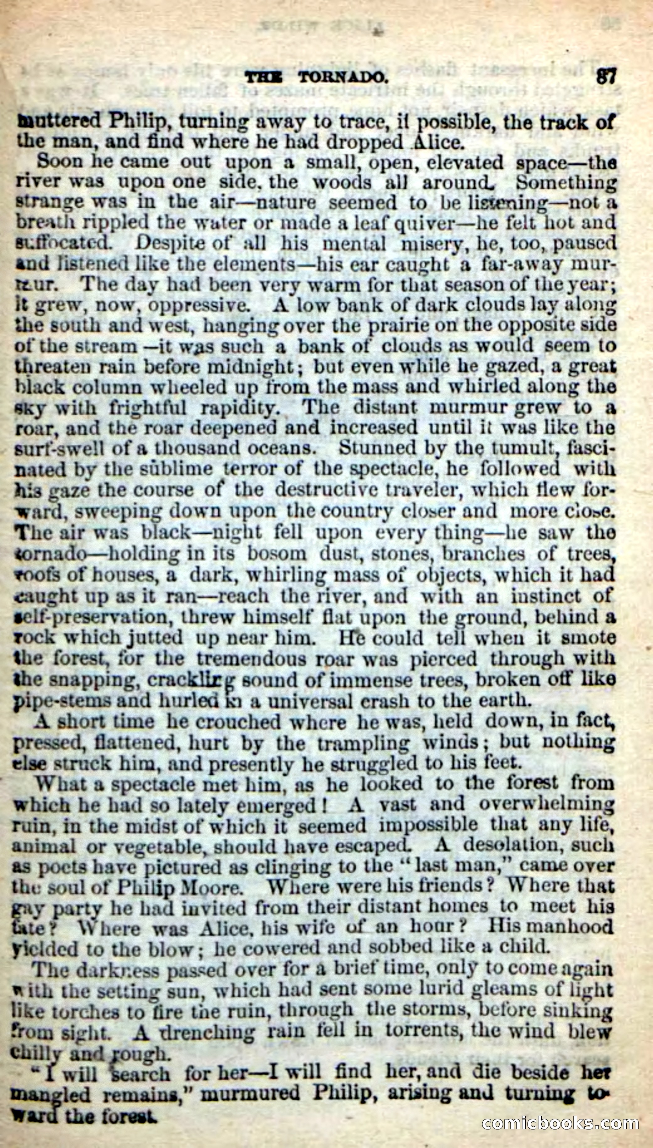 Beadle's New Dime Novels: Alice Wilde — page 83 of 100