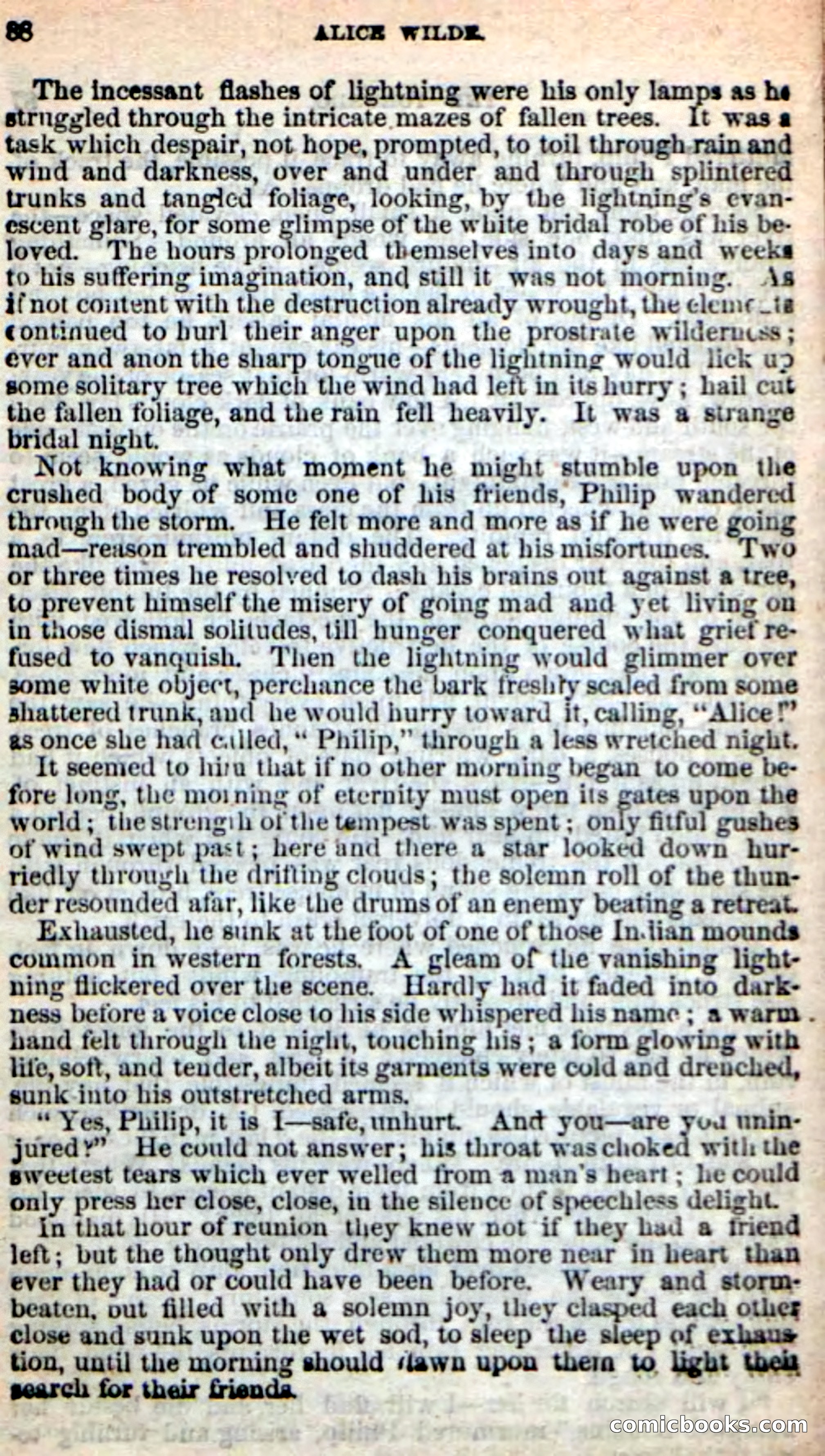 Beadle's New Dime Novels: Alice Wilde — page 84 of 100