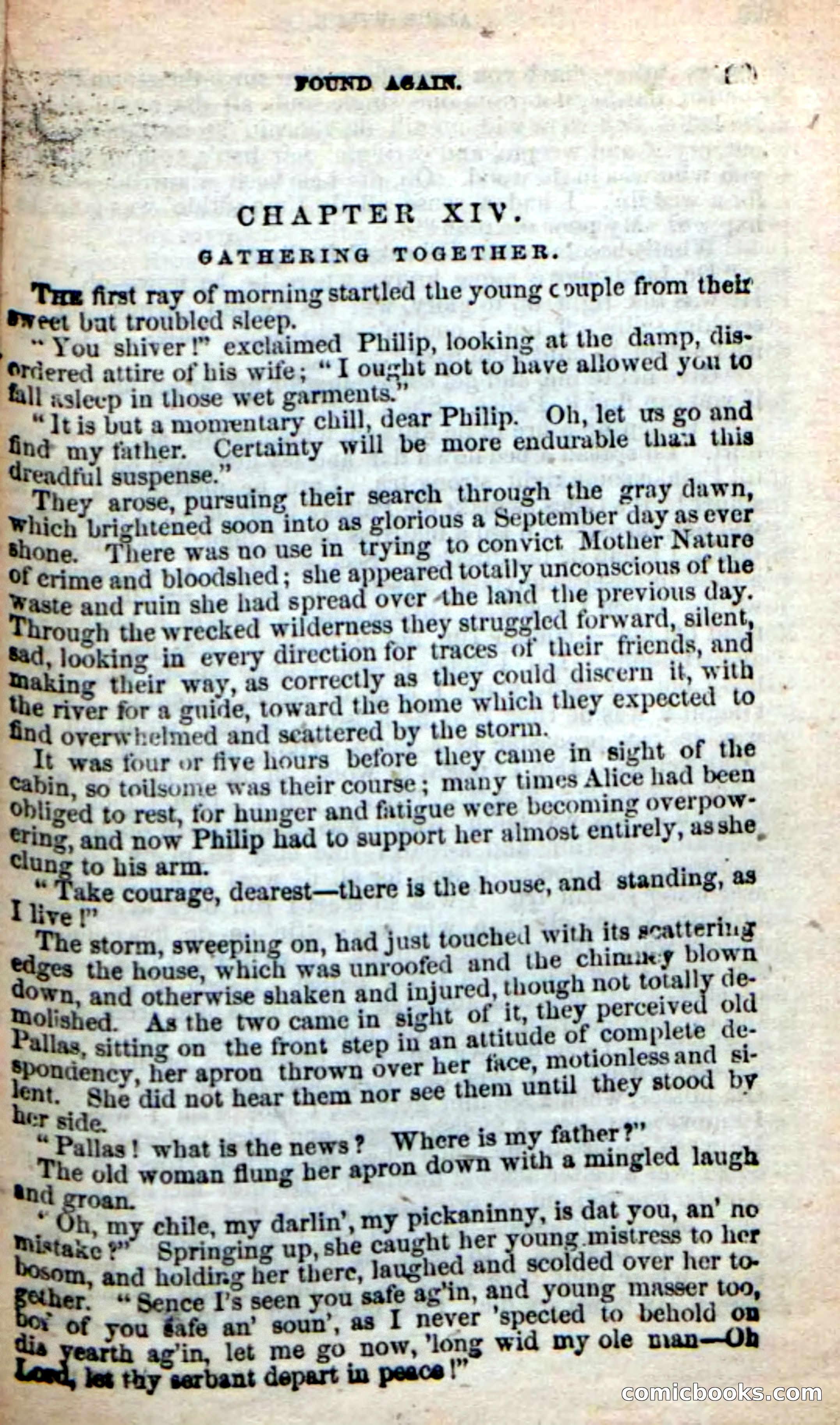 Beadle's New Dime Novels: Alice Wilde — page 85 of 100