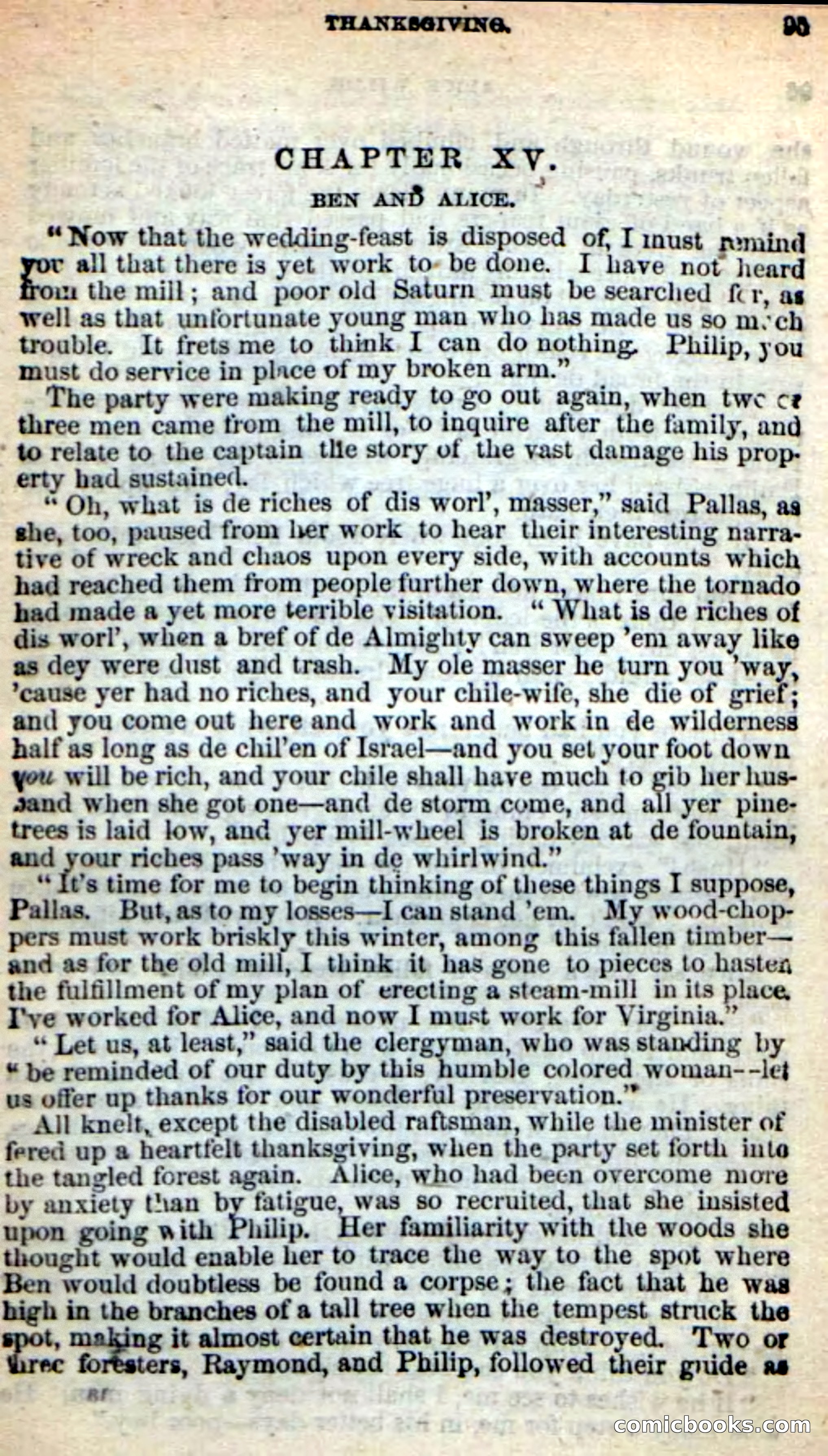 Beadle's New Dime Novels: Alice Wilde — page 91 of 100