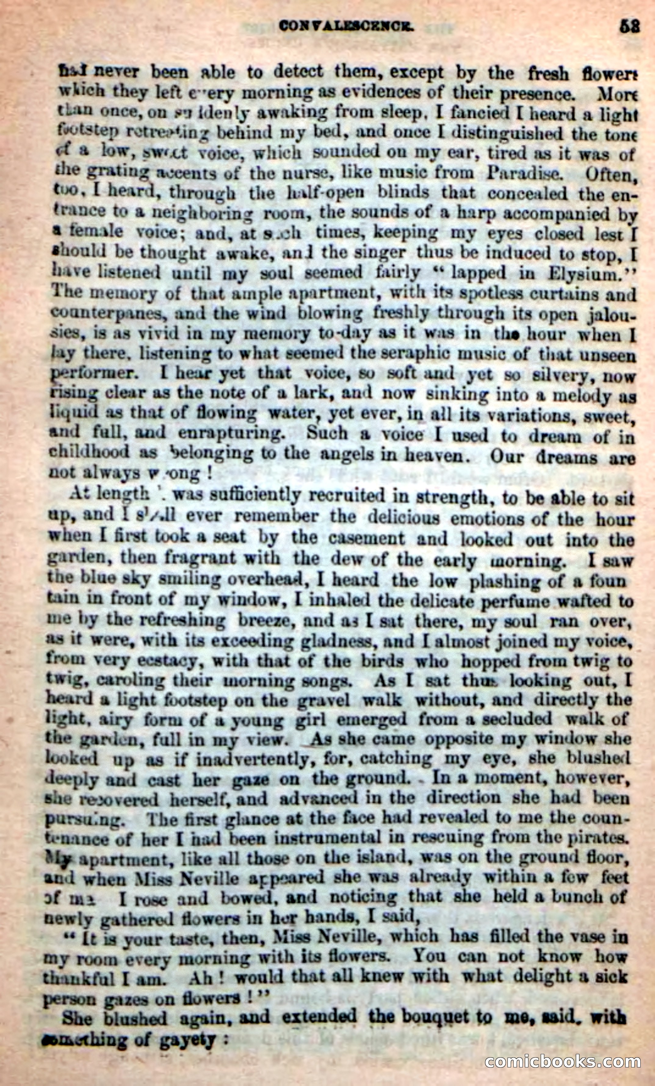 The Privateer's Cruise — page 49 of 98