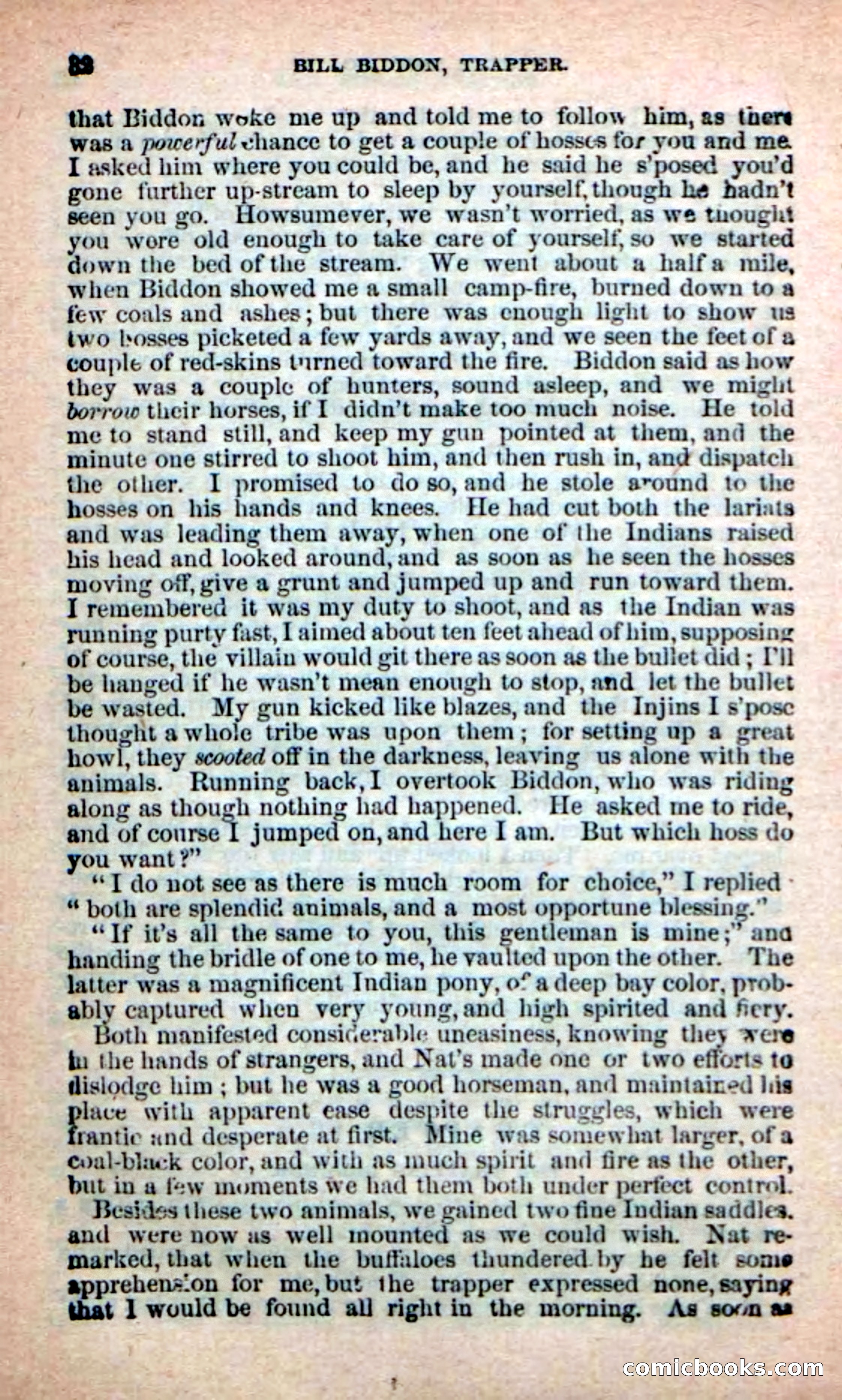 Beadle's New Dime Novels: Bill Biddon, Trapper — page 28 of 100