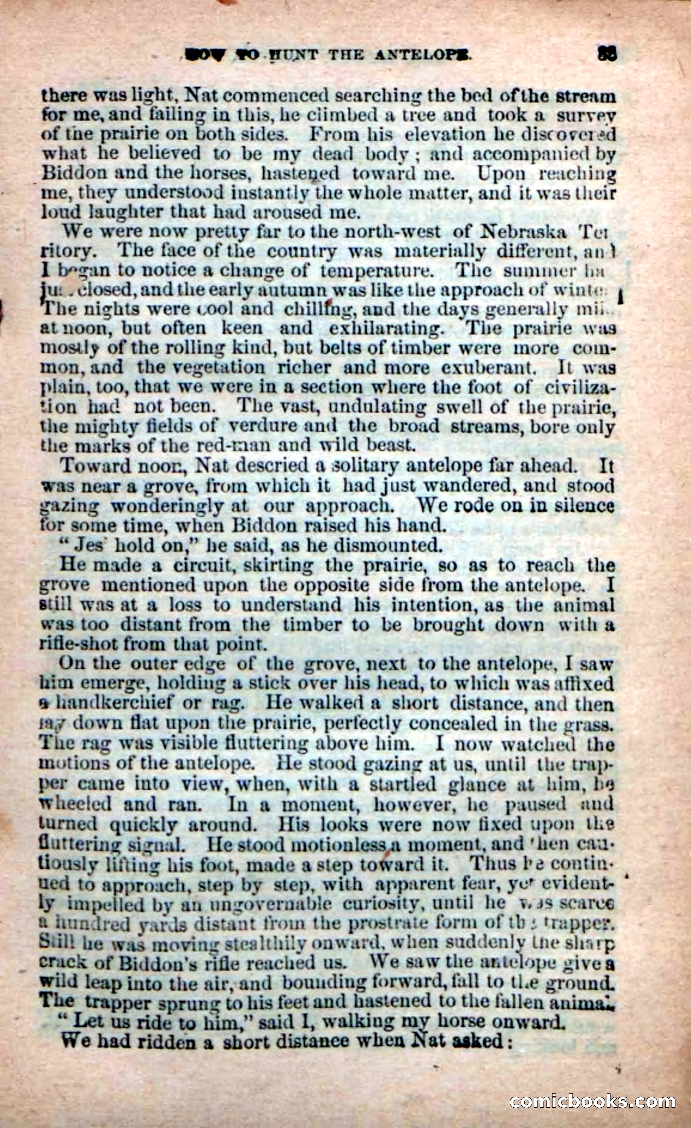 Beadle's New Dime Novels: Bill Biddon, Trapper — page 29 of 100