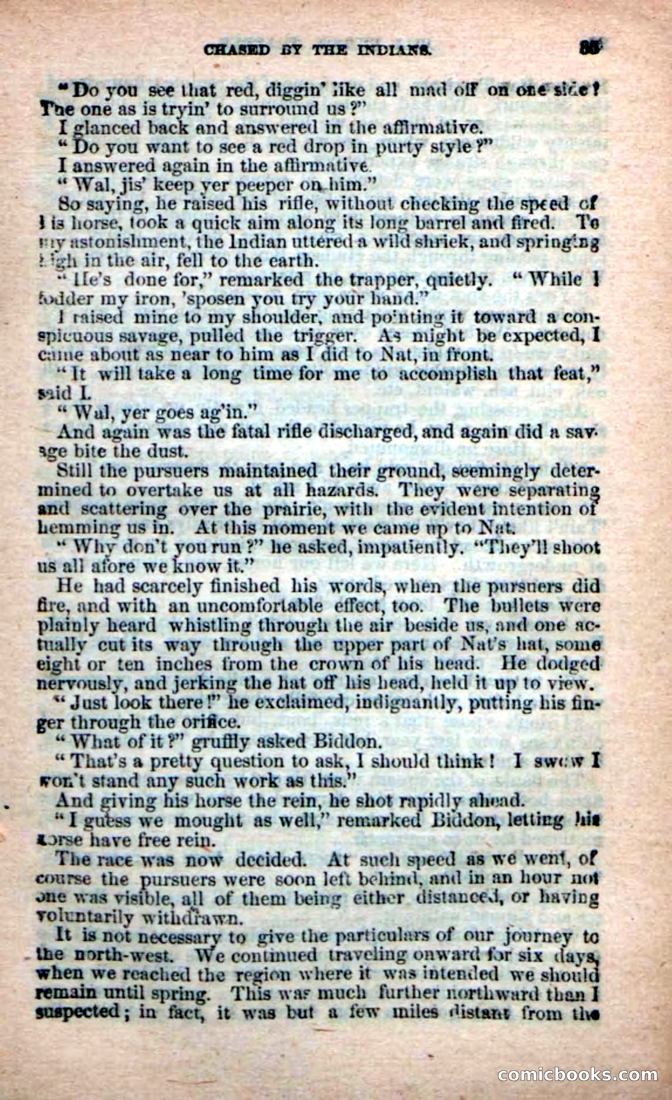 Beadle's New Dime Novels: Bill Biddon, Trapper — page 31 of 100