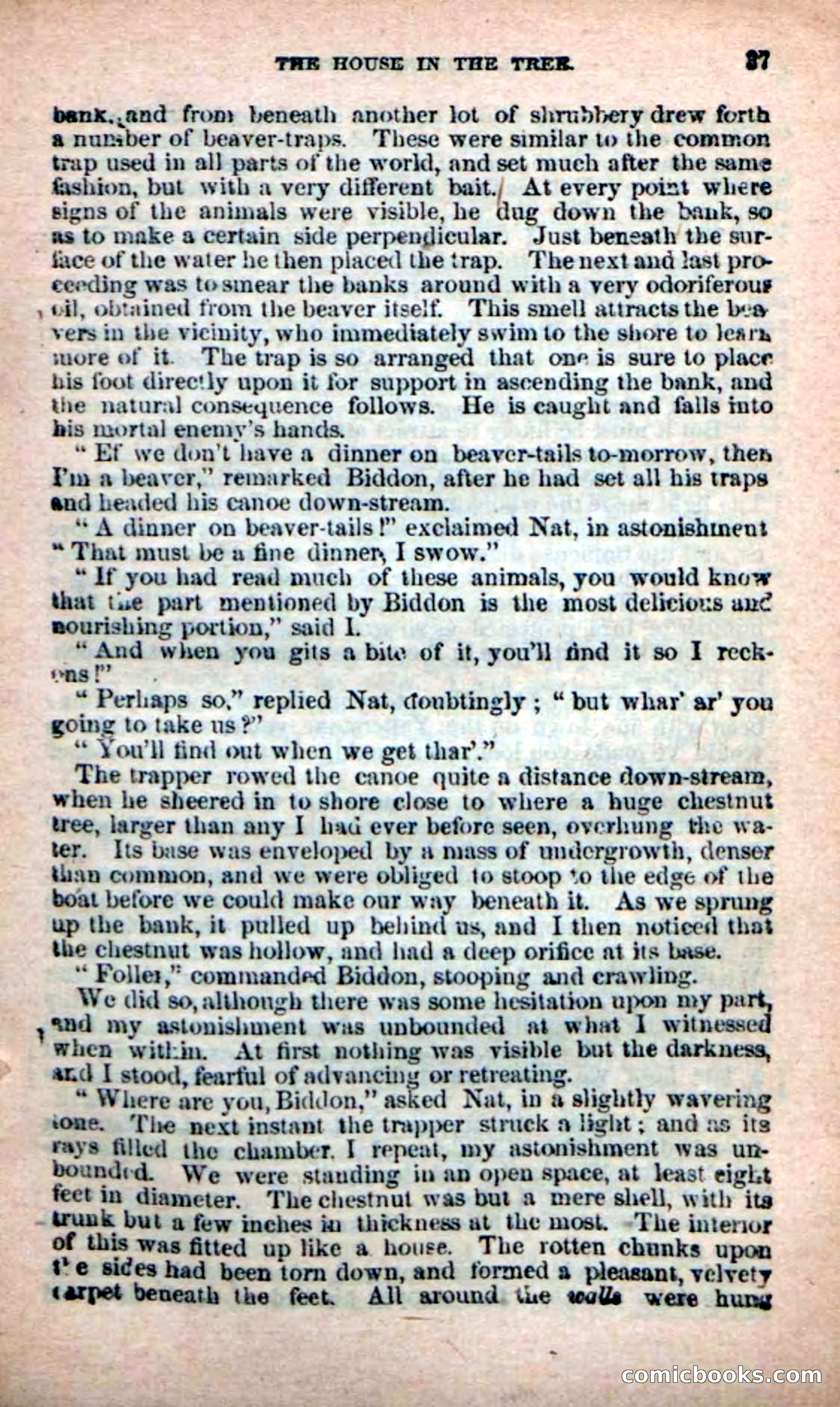 Beadle's New Dime Novels: Bill Biddon, Trapper — page 33 of 100