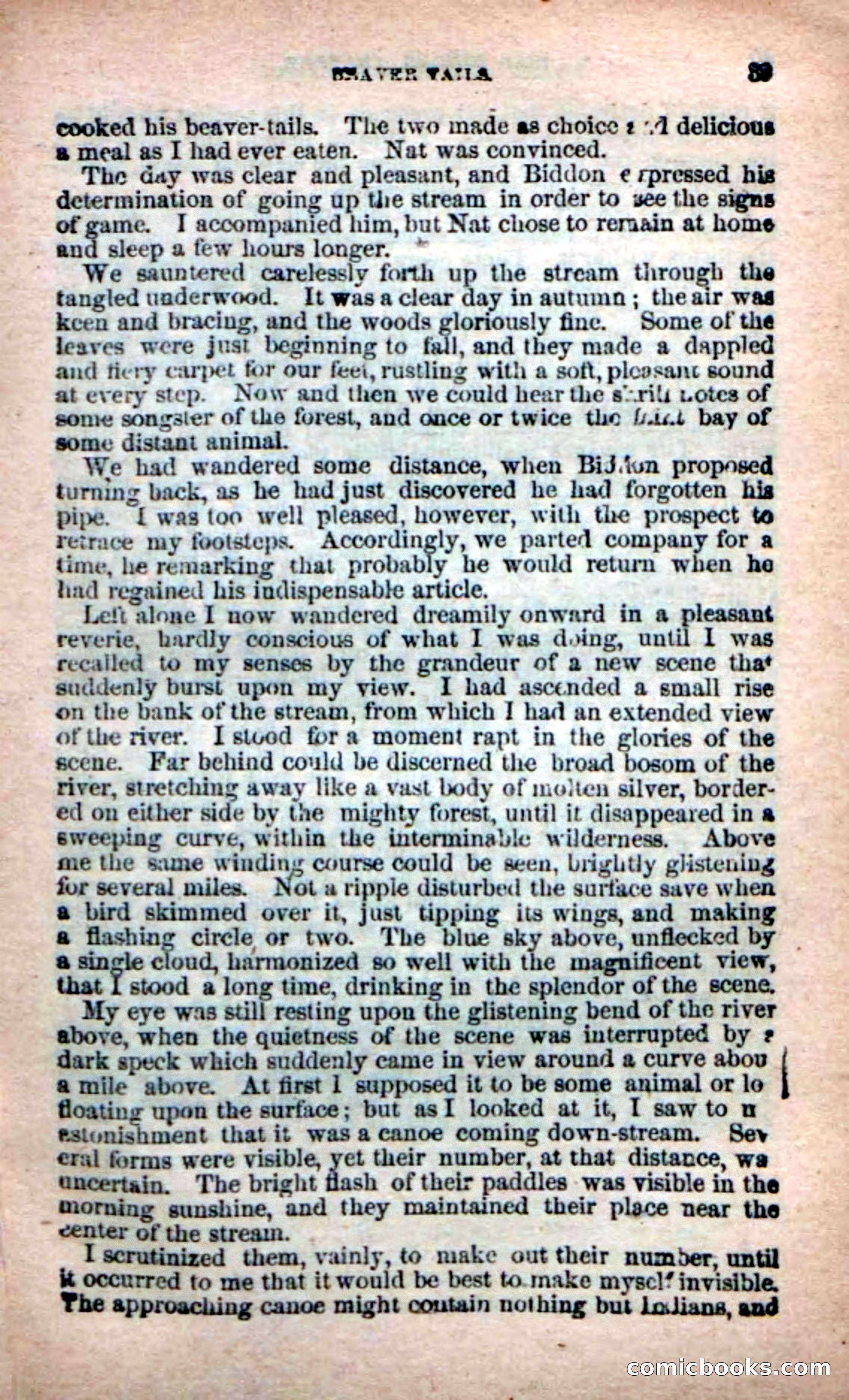 Beadle's New Dime Novels: Bill Biddon, Trapper — page 35 of 100