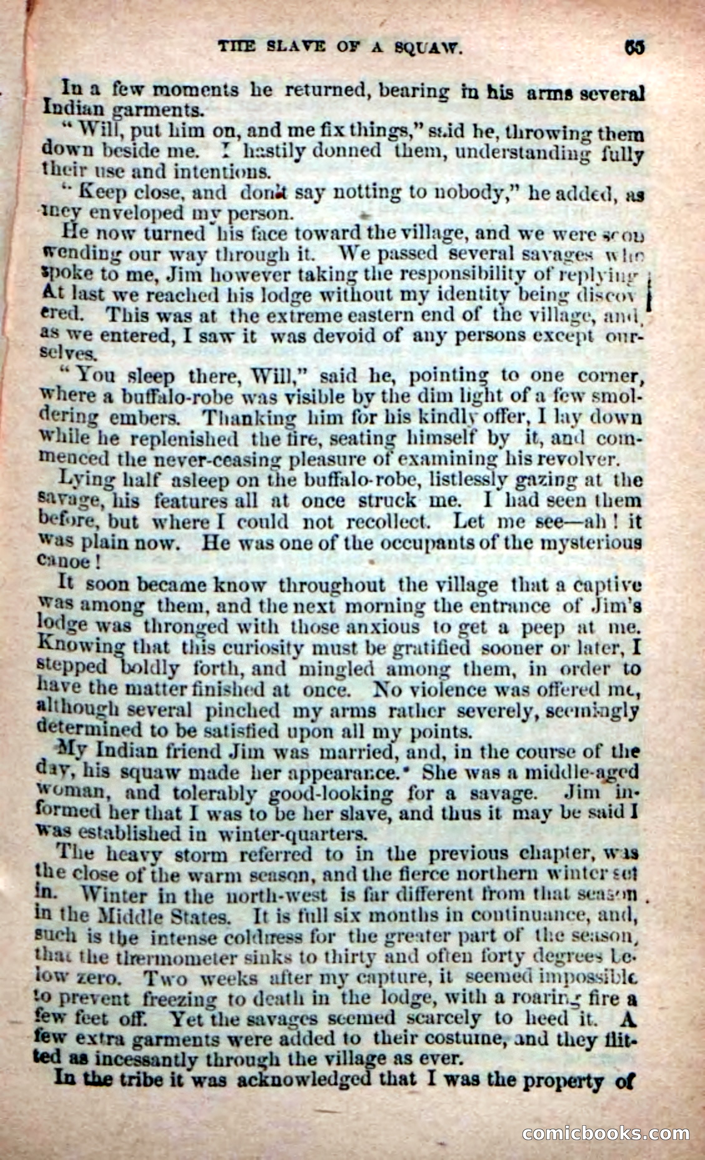 Beadle's New Dime Novels: Bill Biddon, Trapper — page 61 of 100