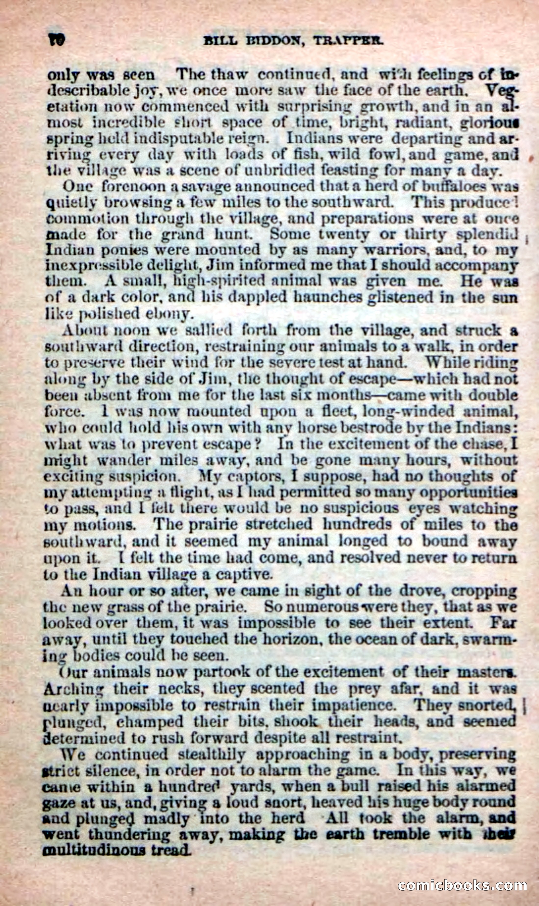 Beadle's New Dime Novels: Bill Biddon, Trapper — page 66 of 100