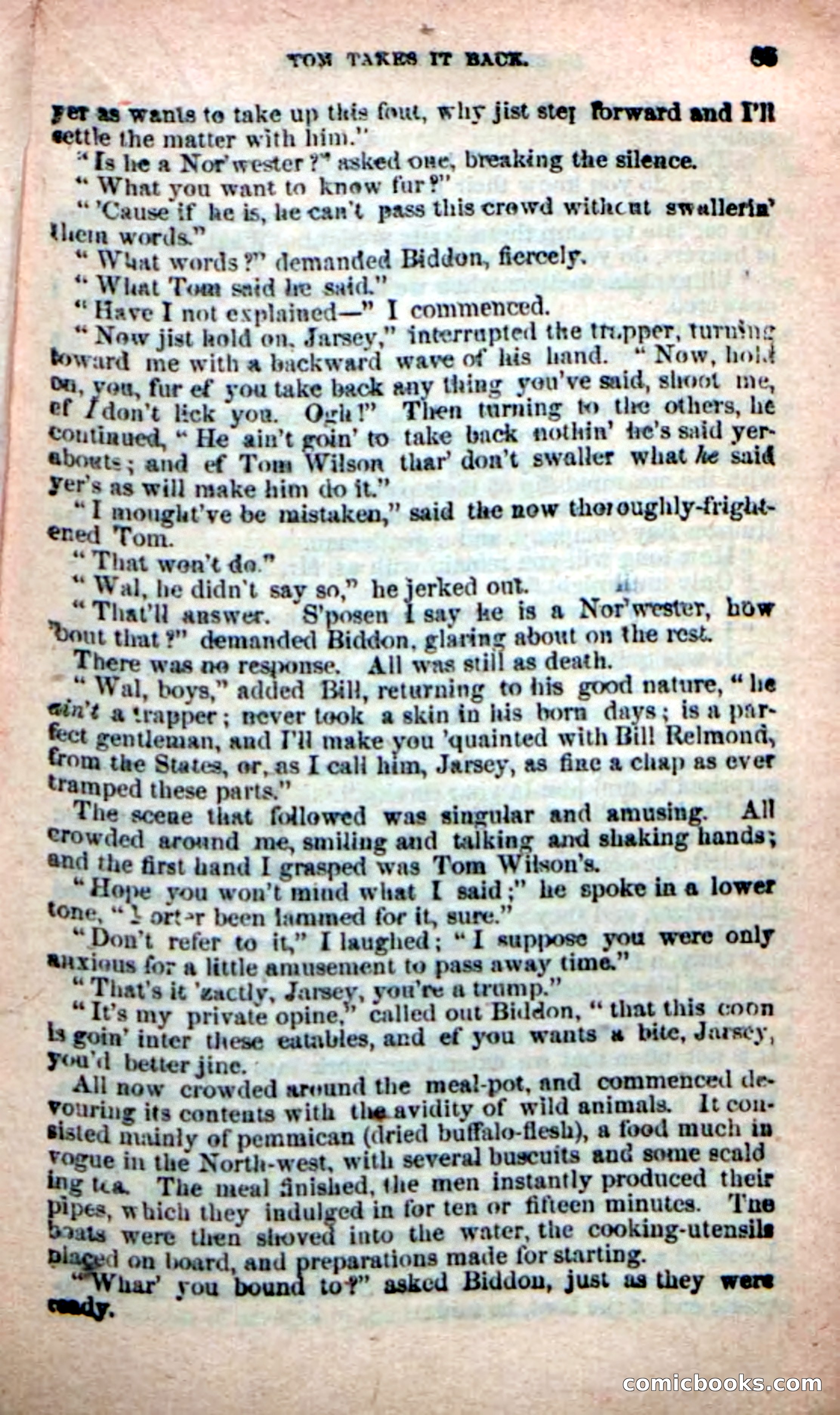 Beadle's New Dime Novels: Bill Biddon, Trapper — page 81 of 100