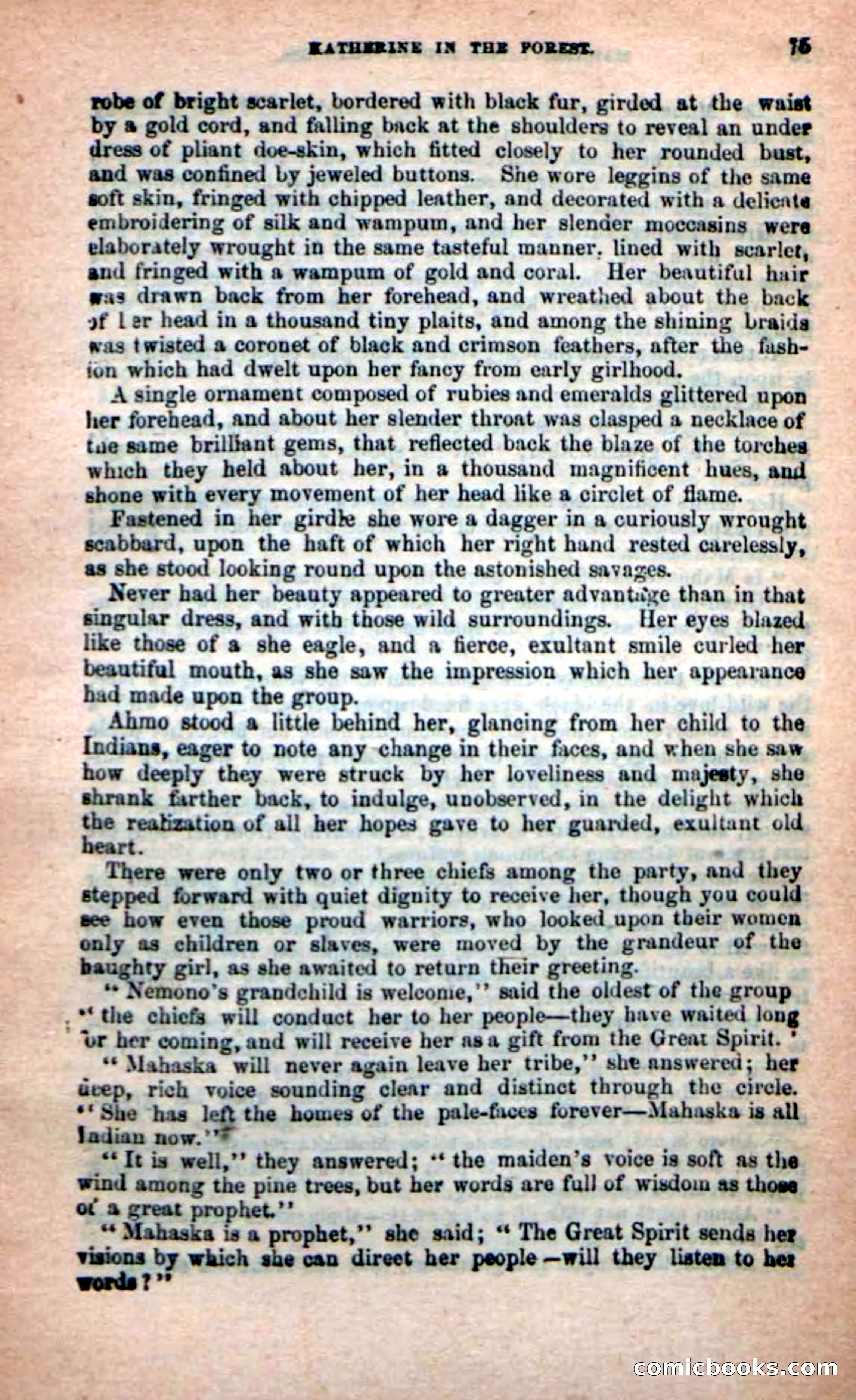 The Indian Princess — page 71 of 100