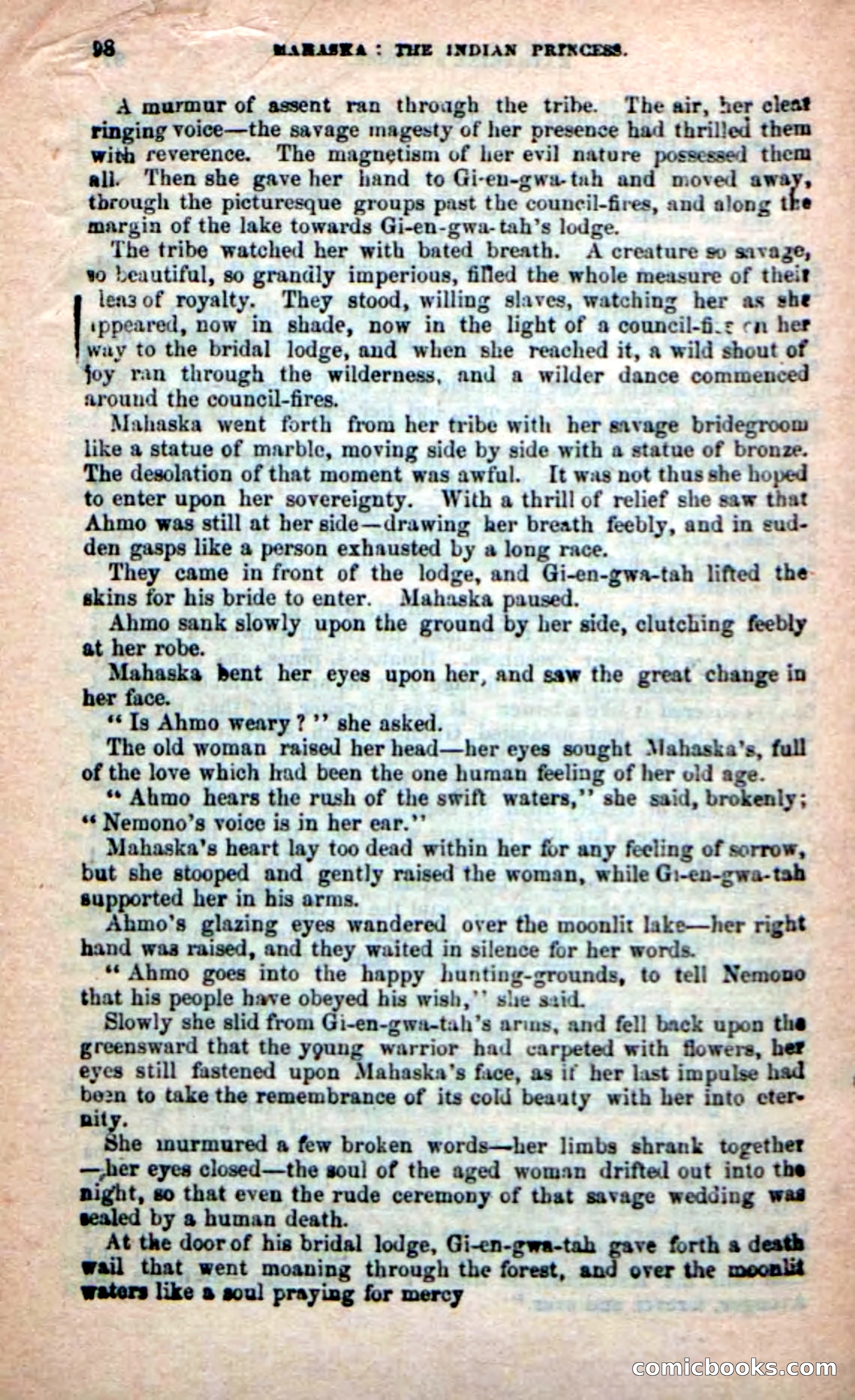 The Indian Princess — page 94 of 100
