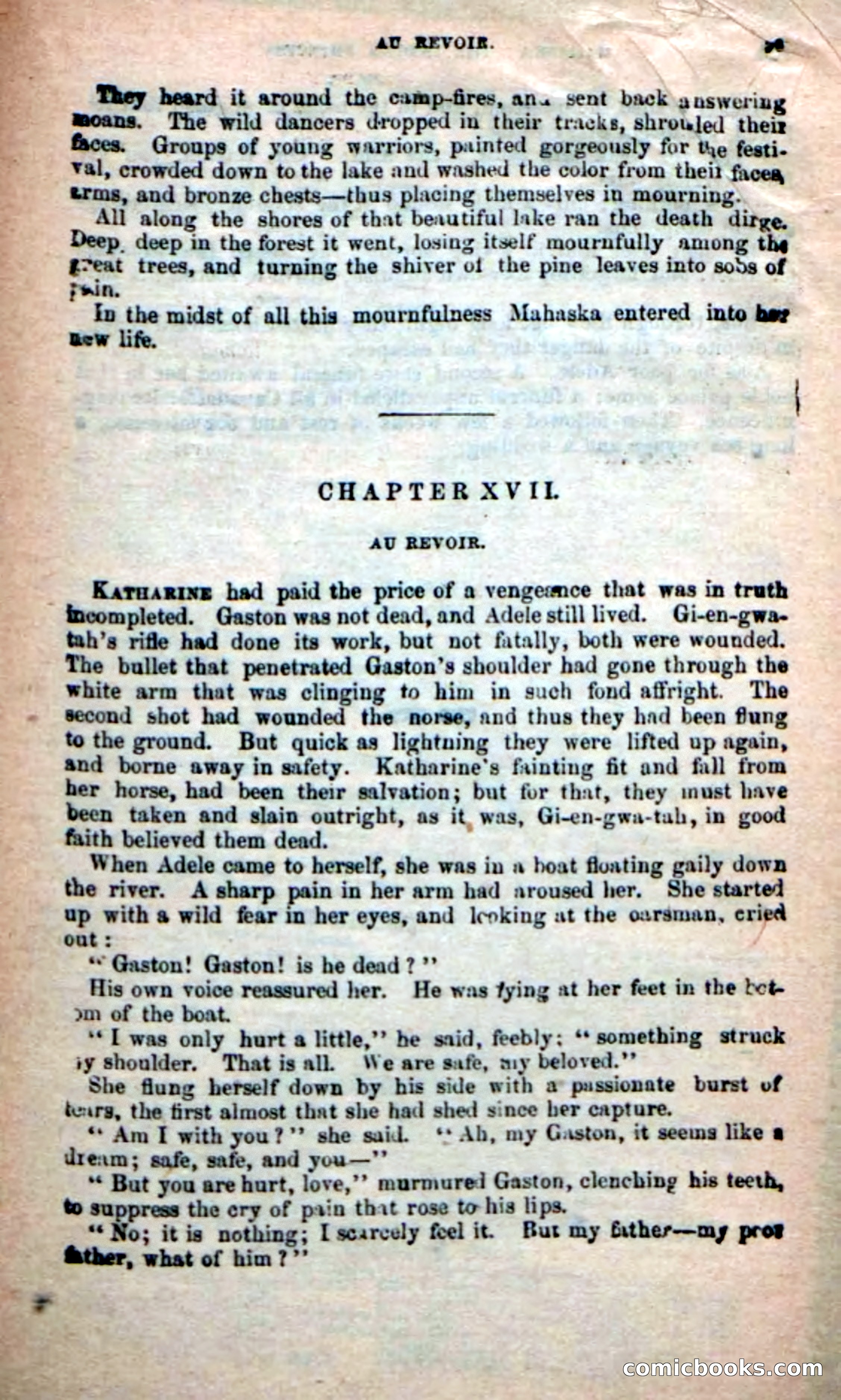 The Indian Princess — page 95 of 100
