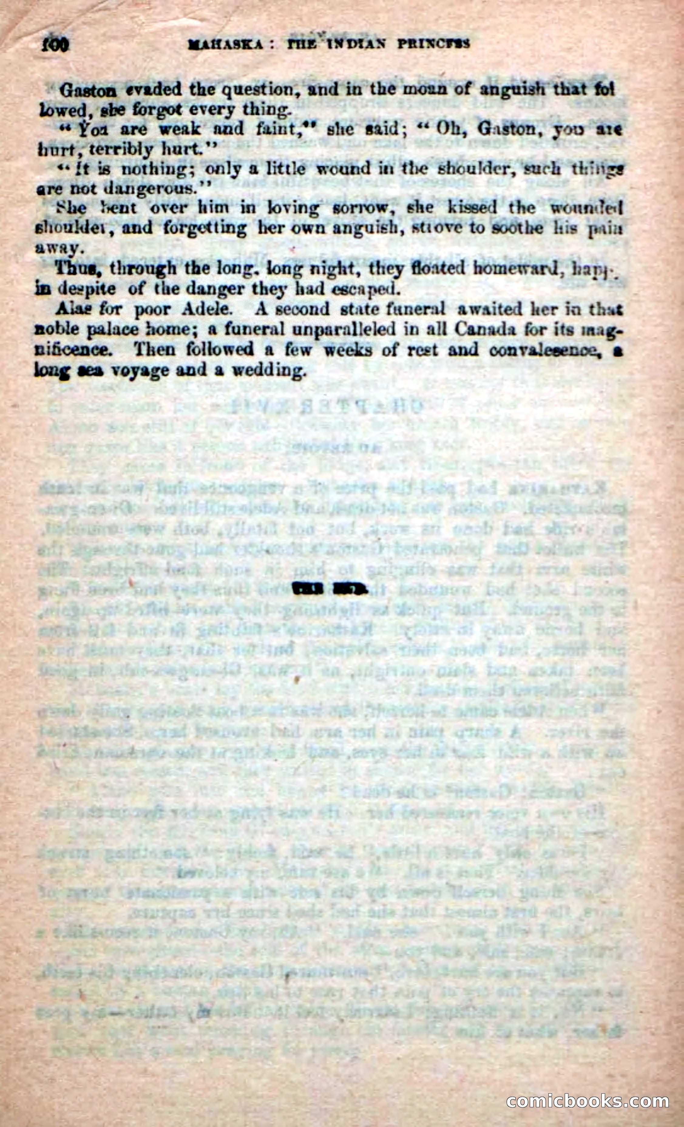 The Indian Princess — page 96 of 100