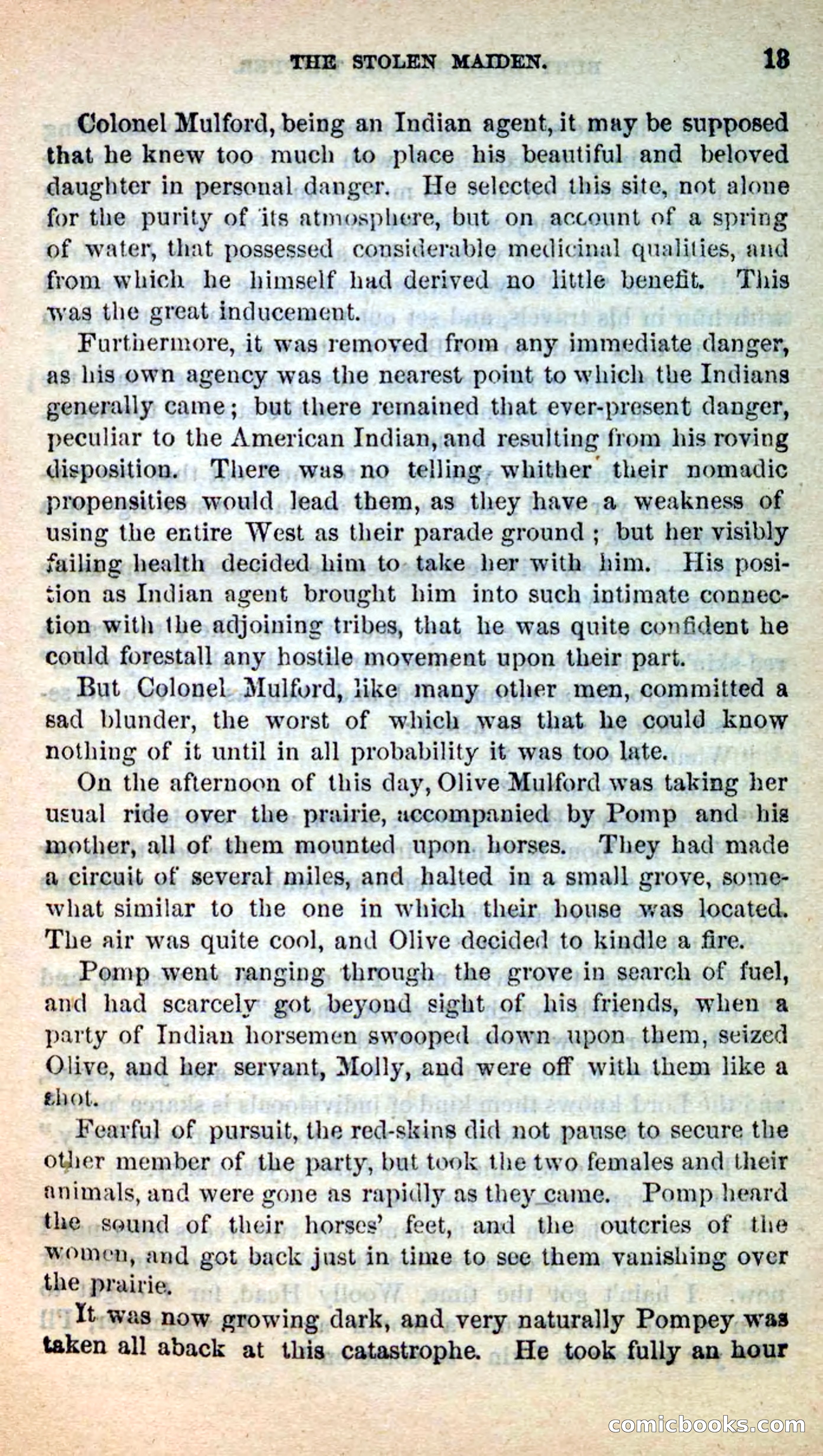 Beadle's New Dime Novels: Burt Bunker, the Trapper — page 9 of 100