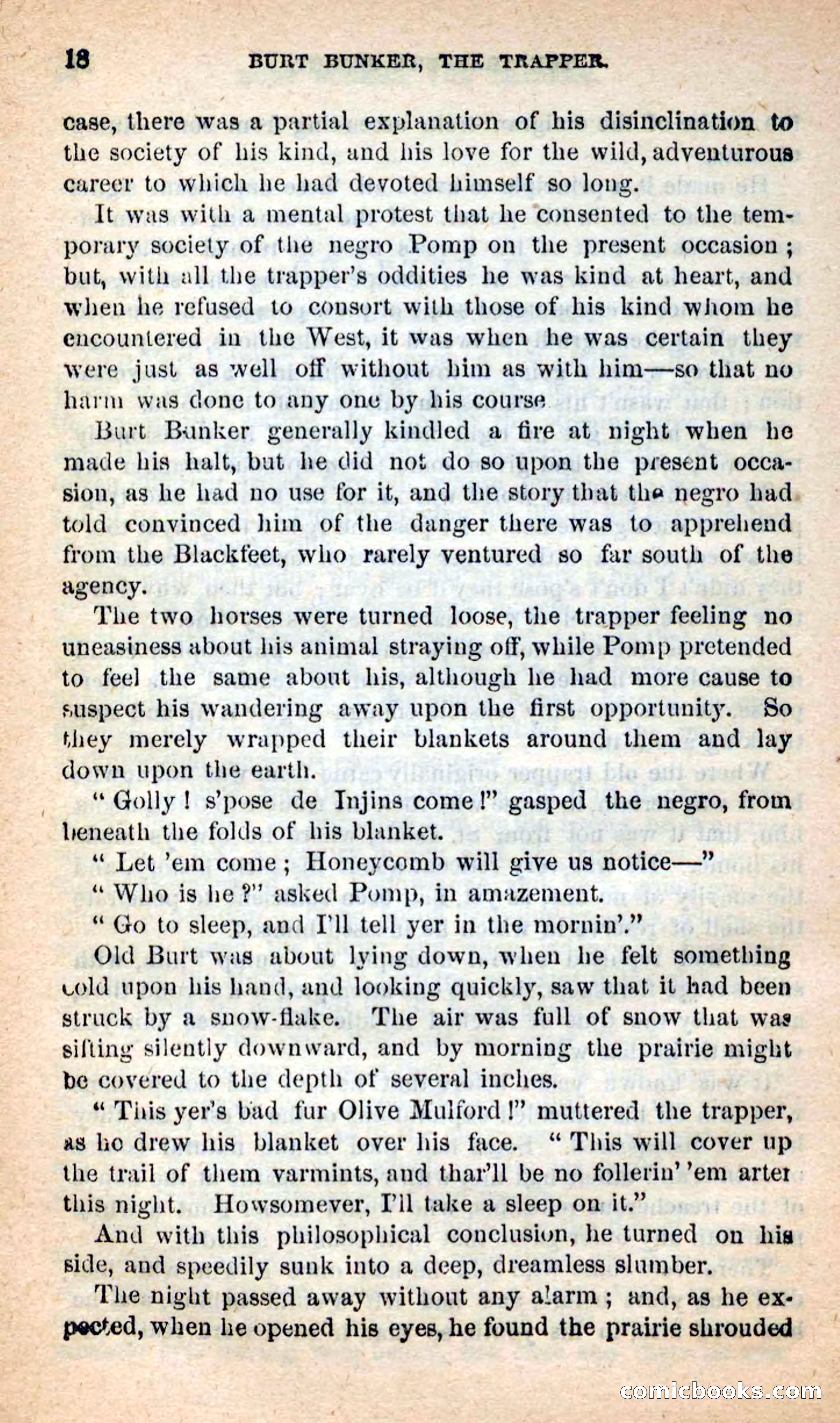 Beadle's New Dime Novels: Burt Bunker, the Trapper — page 14 of 100