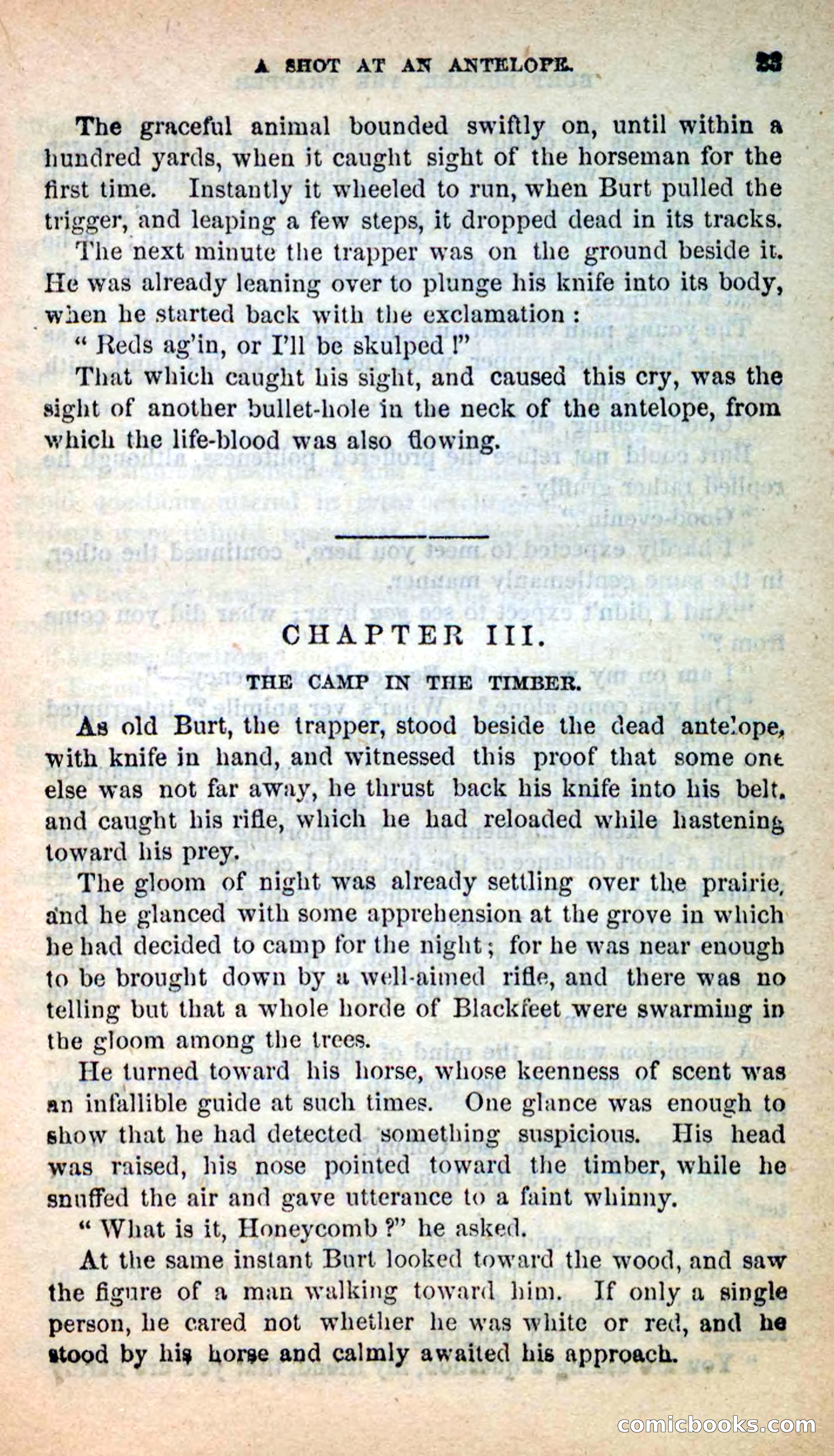 Beadle's New Dime Novels: Burt Bunker, the Trapper — page 19 of 100
