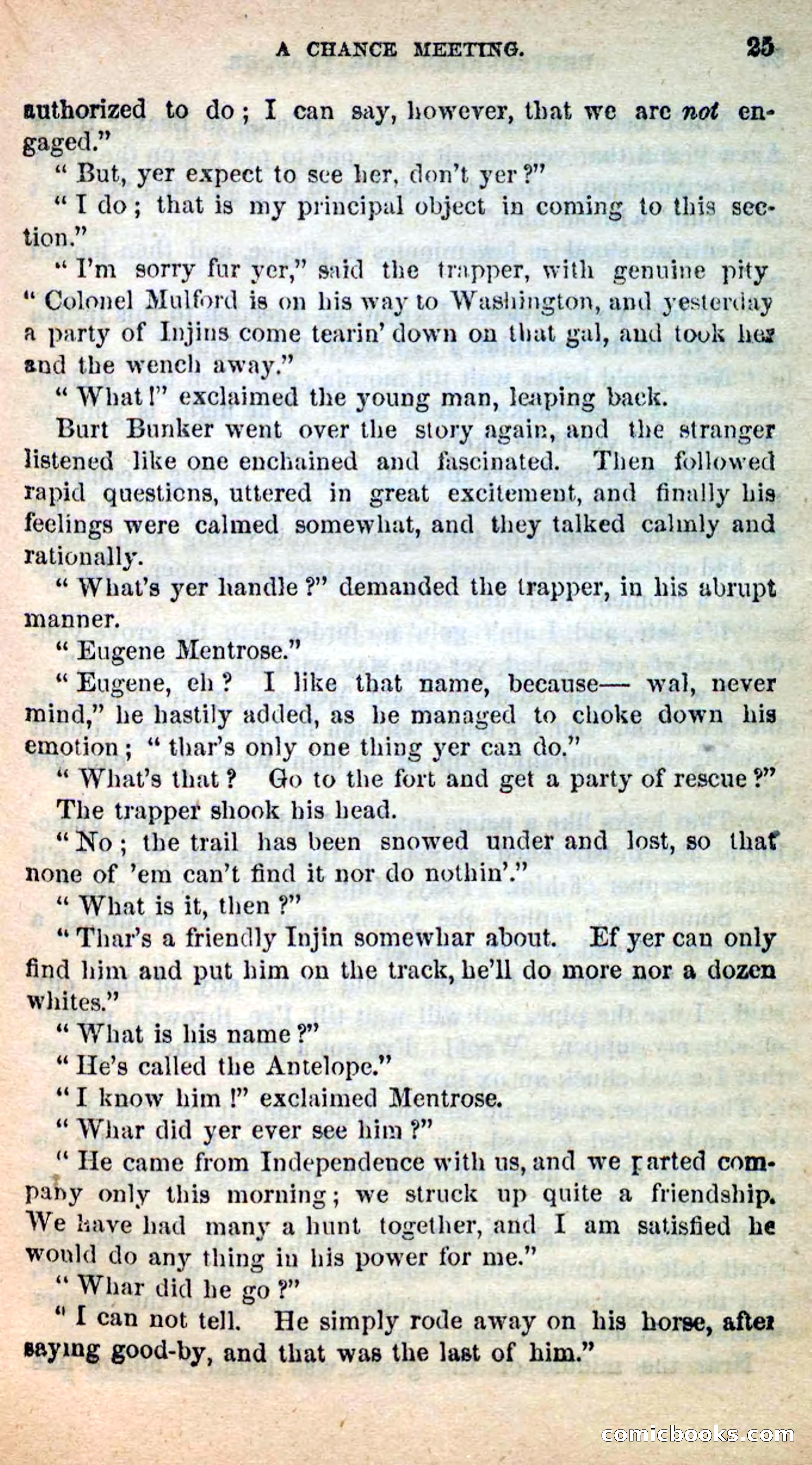 Beadle's New Dime Novels: Burt Bunker, the Trapper — page 21 of 100