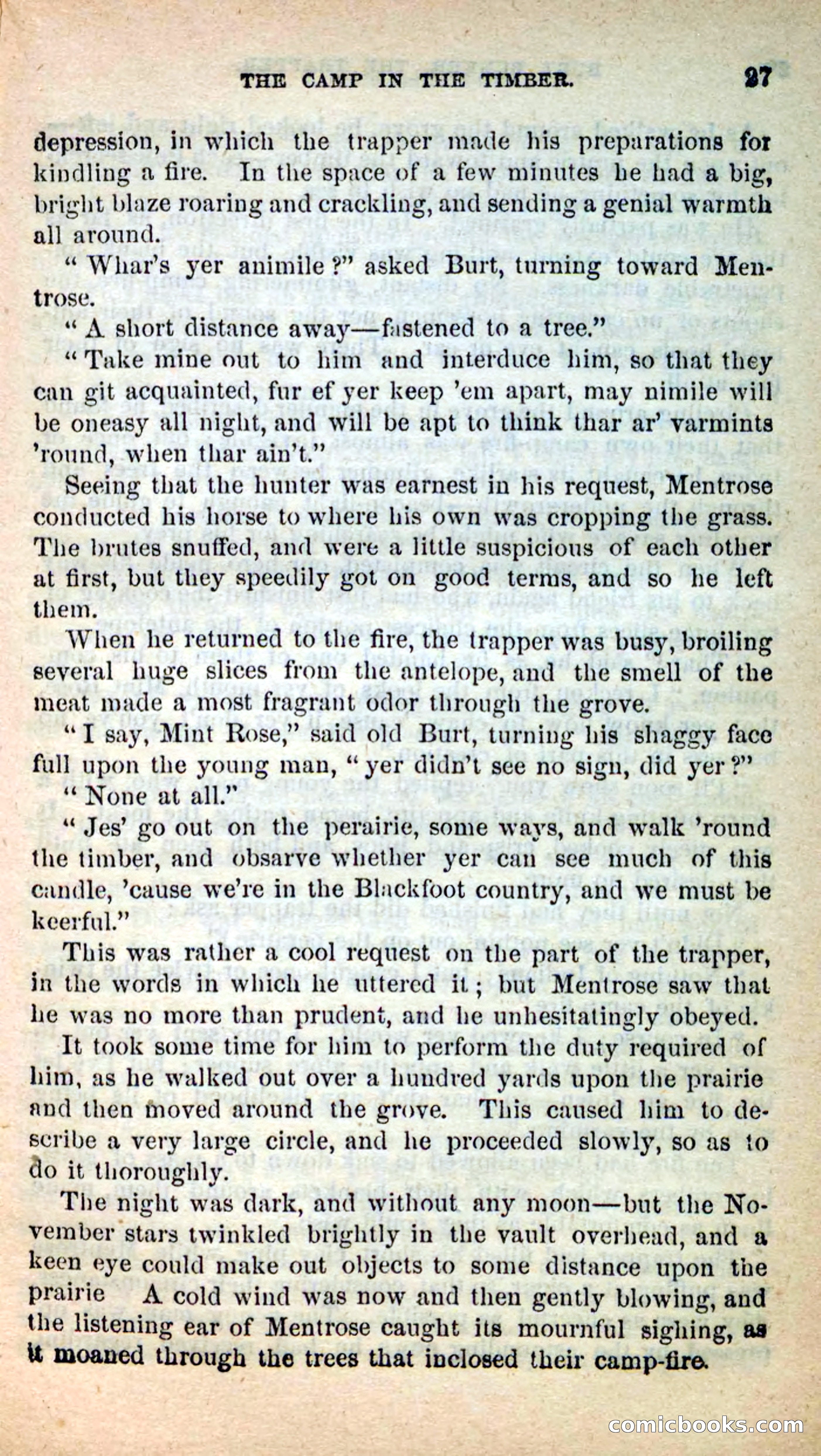 Beadle's New Dime Novels: Burt Bunker, the Trapper — page 23 of 100
