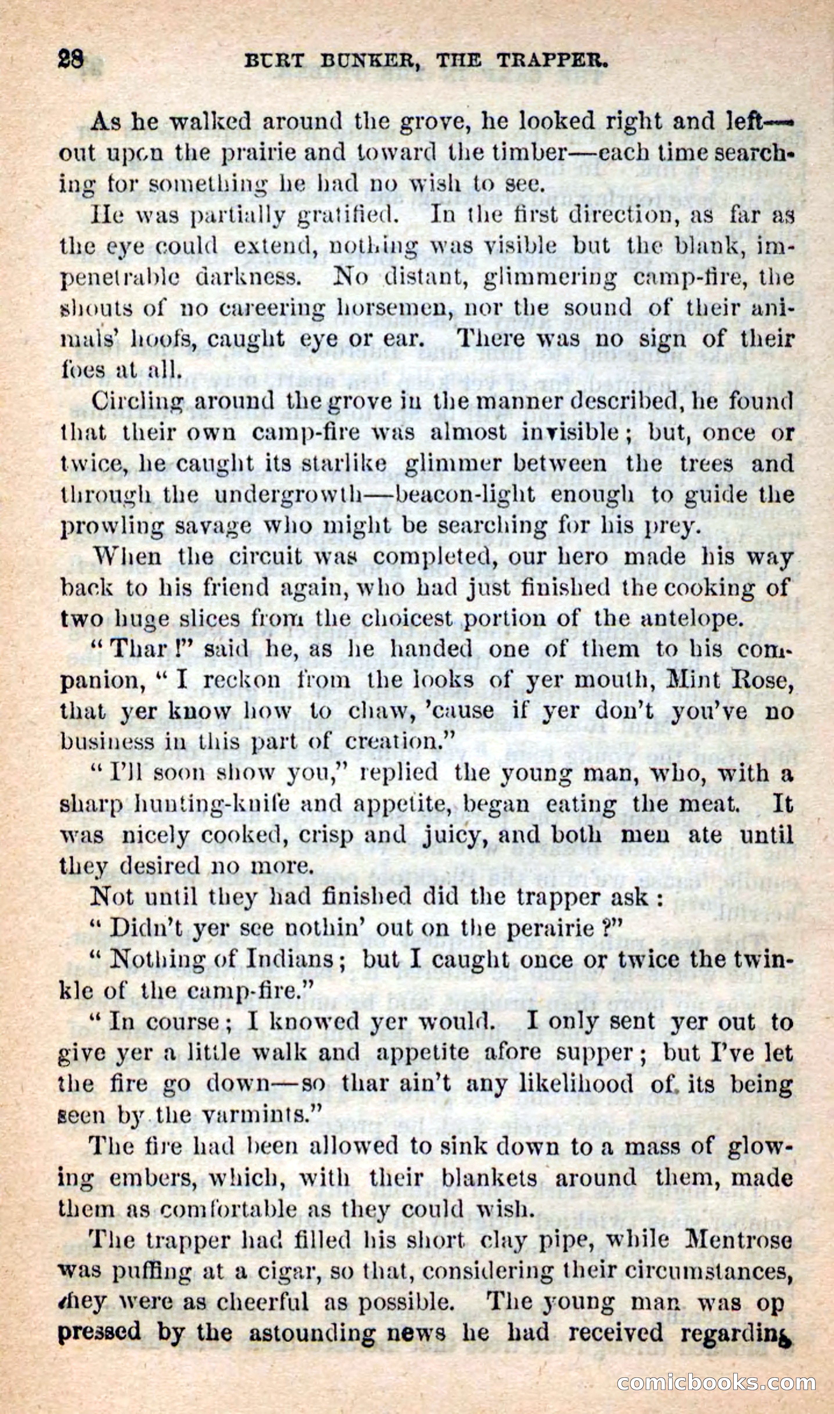 Beadle's New Dime Novels: Burt Bunker, the Trapper — page 24 of 100