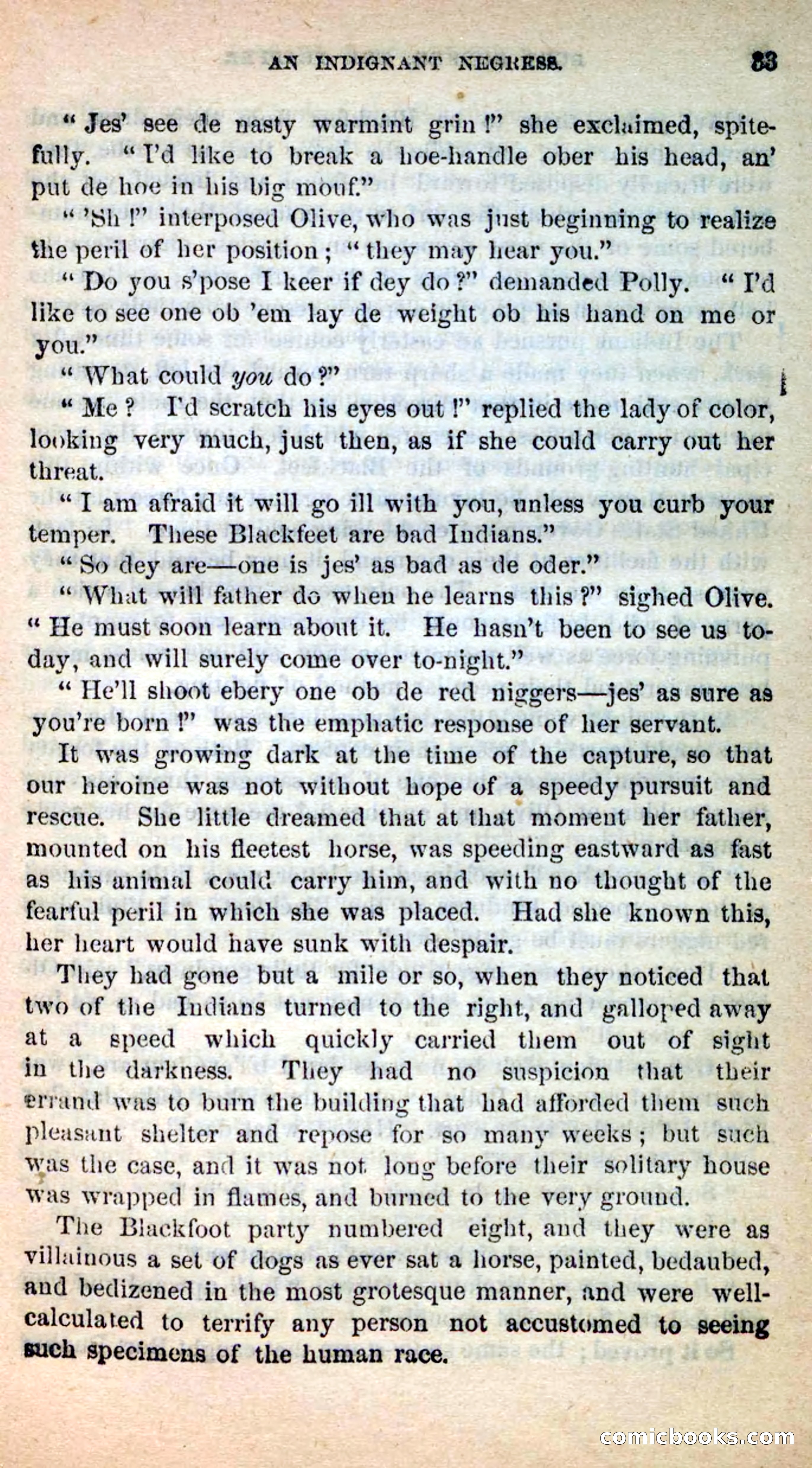 Beadle's New Dime Novels: Burt Bunker, the Trapper — page 29 of 100