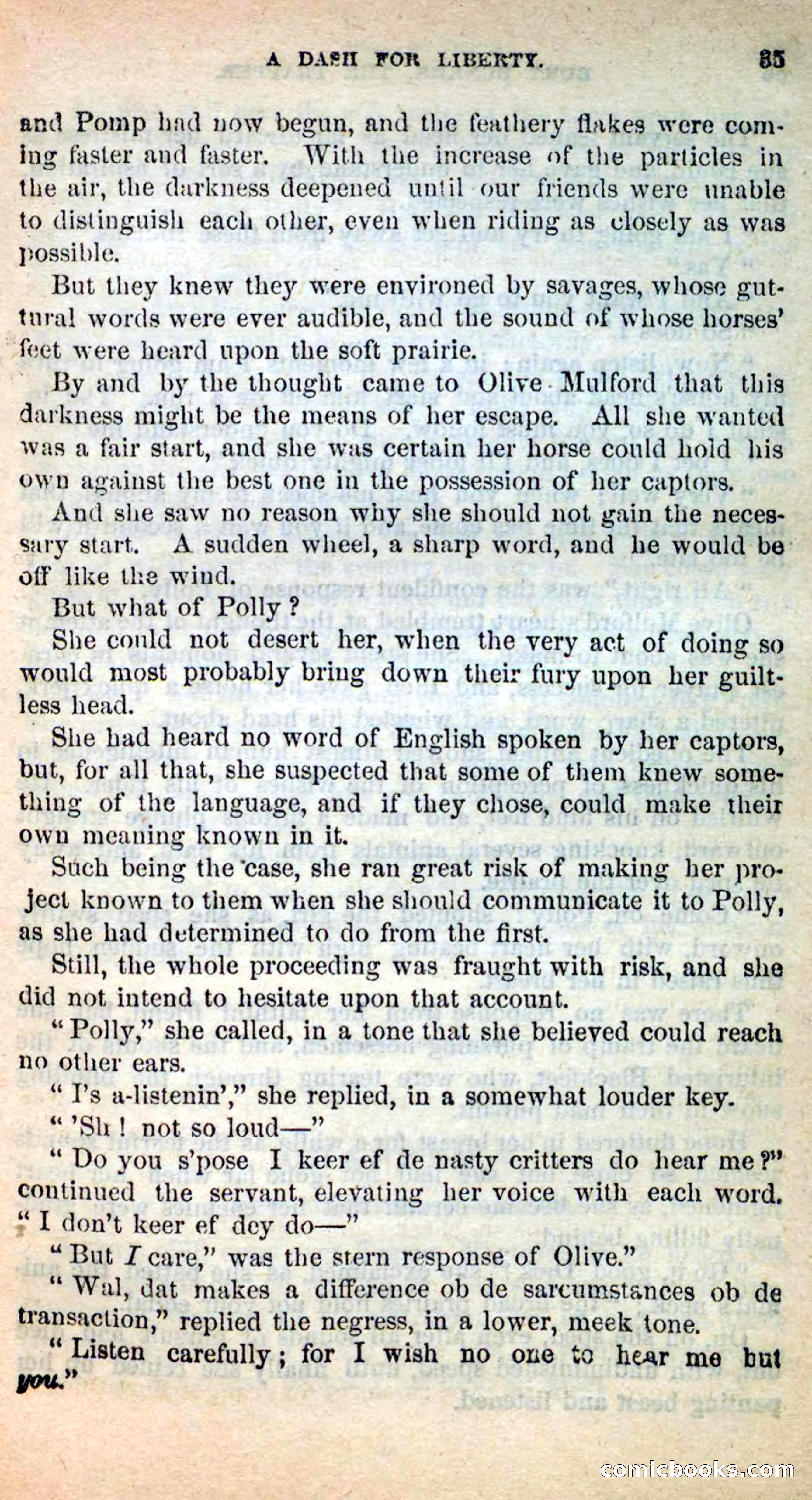 Beadle's New Dime Novels: Burt Bunker, the Trapper — page 31 of 100
