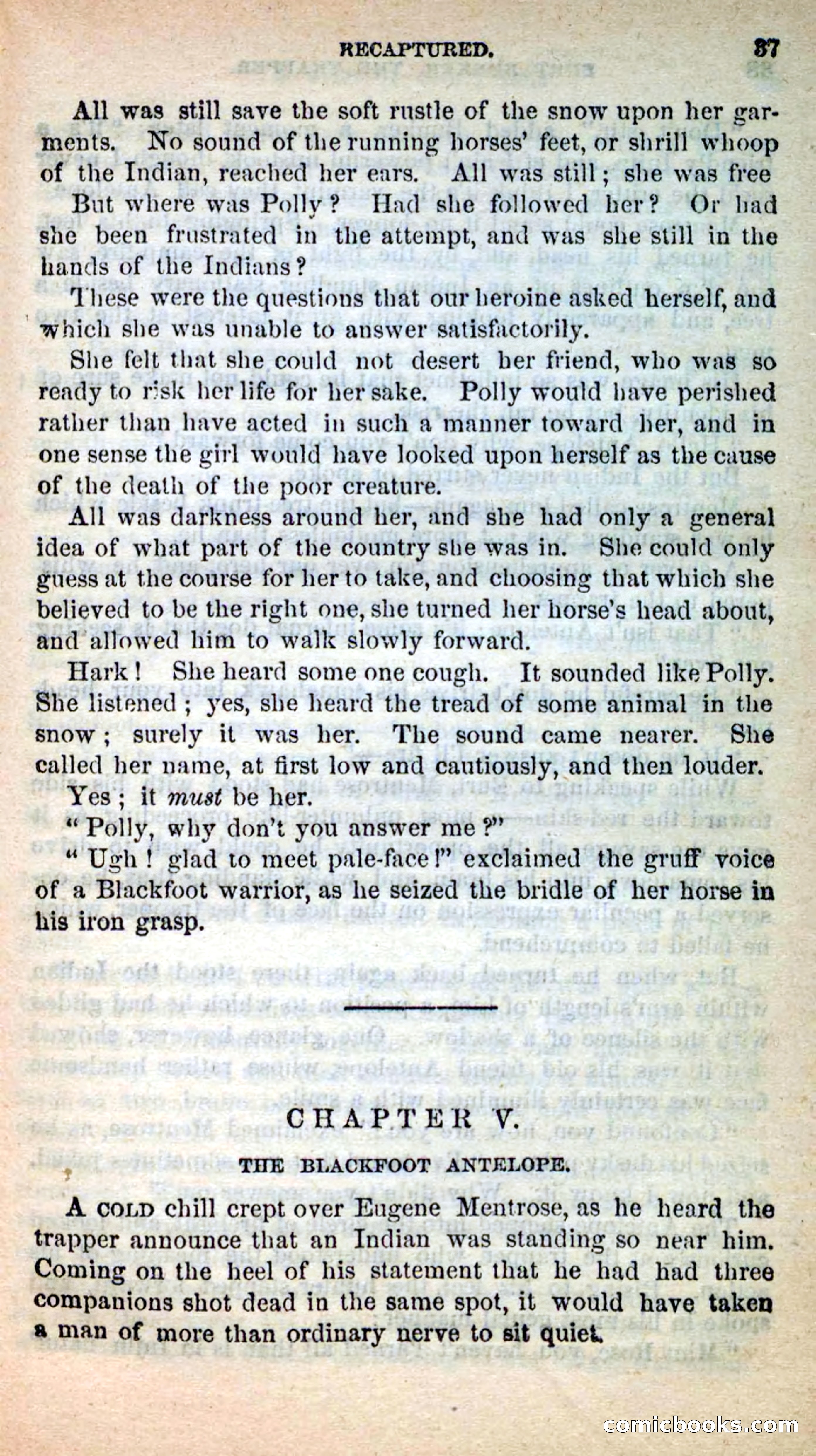 Beadle's New Dime Novels: Burt Bunker, the Trapper — page 33 of 100