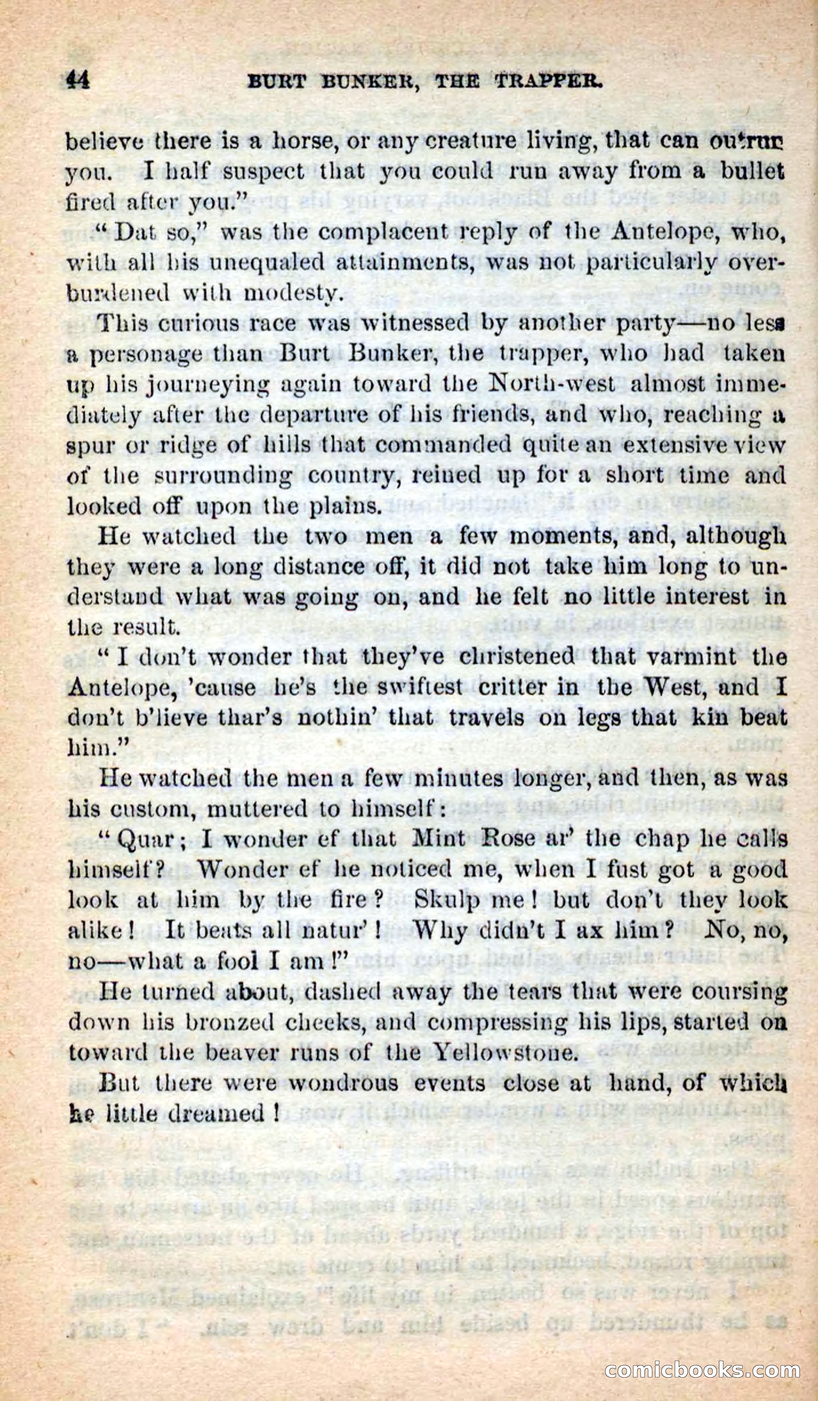 Beadle's New Dime Novels: Burt Bunker, the Trapper — page 40 of 100