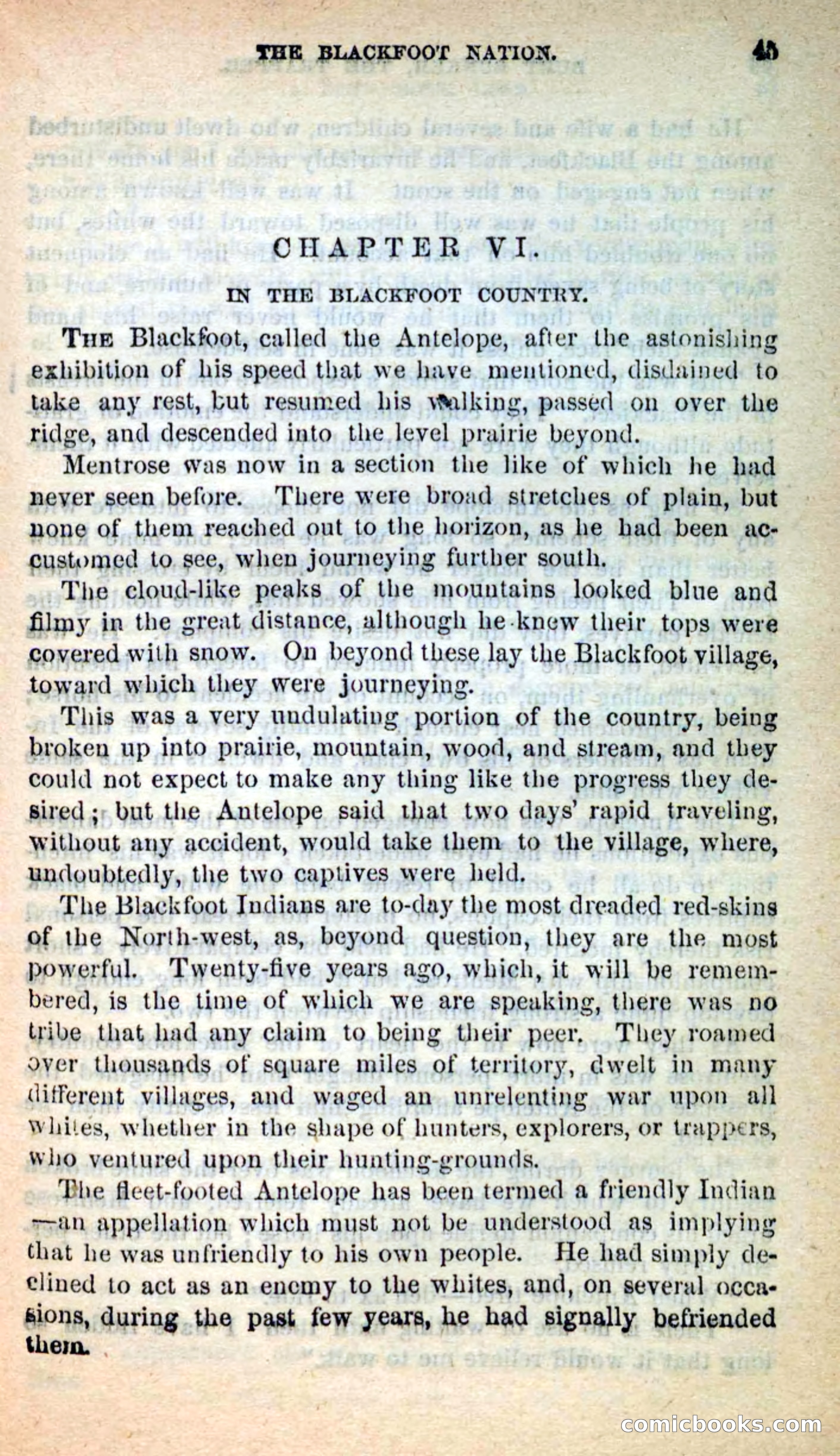 Beadle's New Dime Novels: Burt Bunker, the Trapper — page 41 of 100