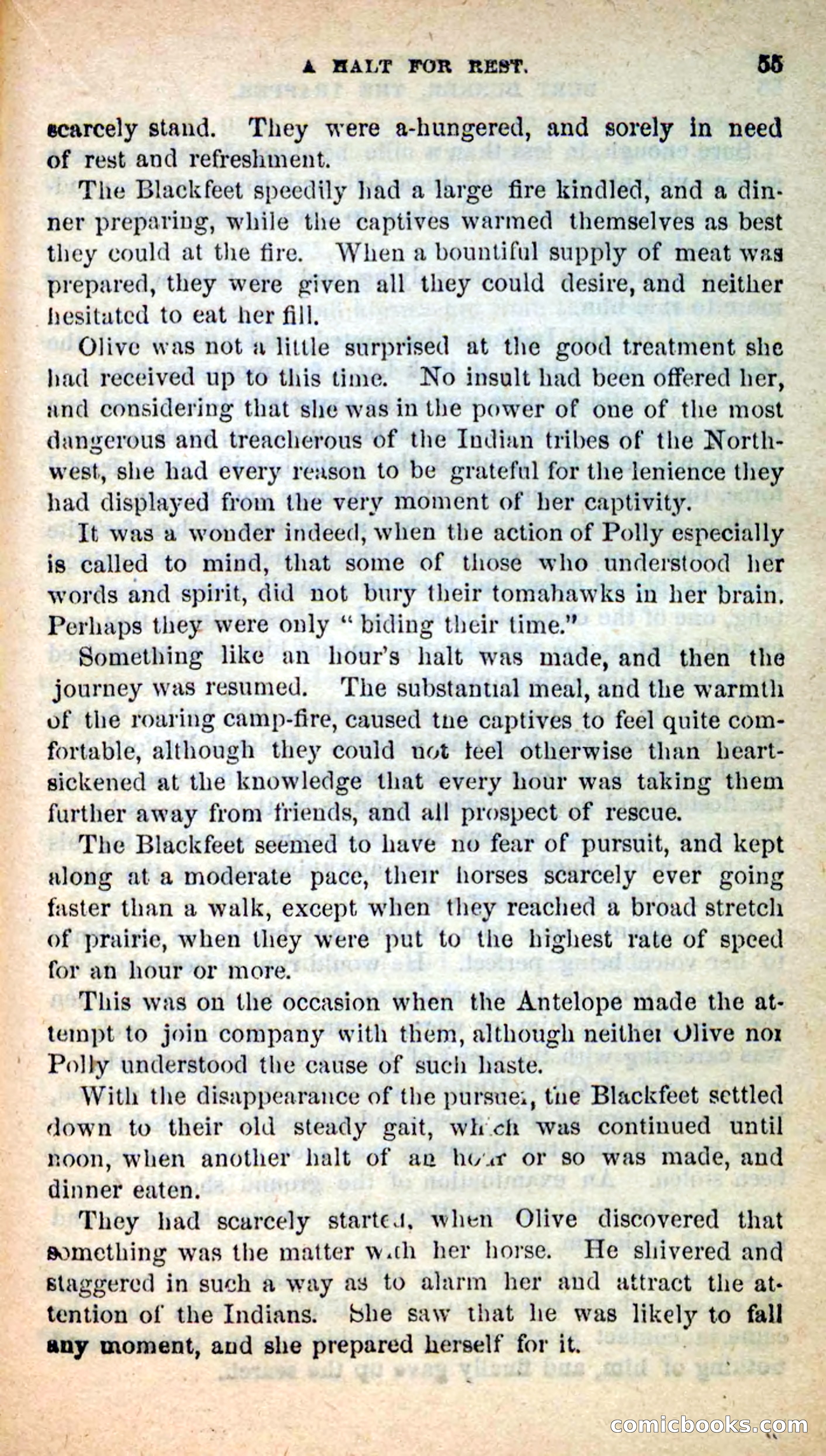 Beadle's New Dime Novels: Burt Bunker, the Trapper — page 51 of 100