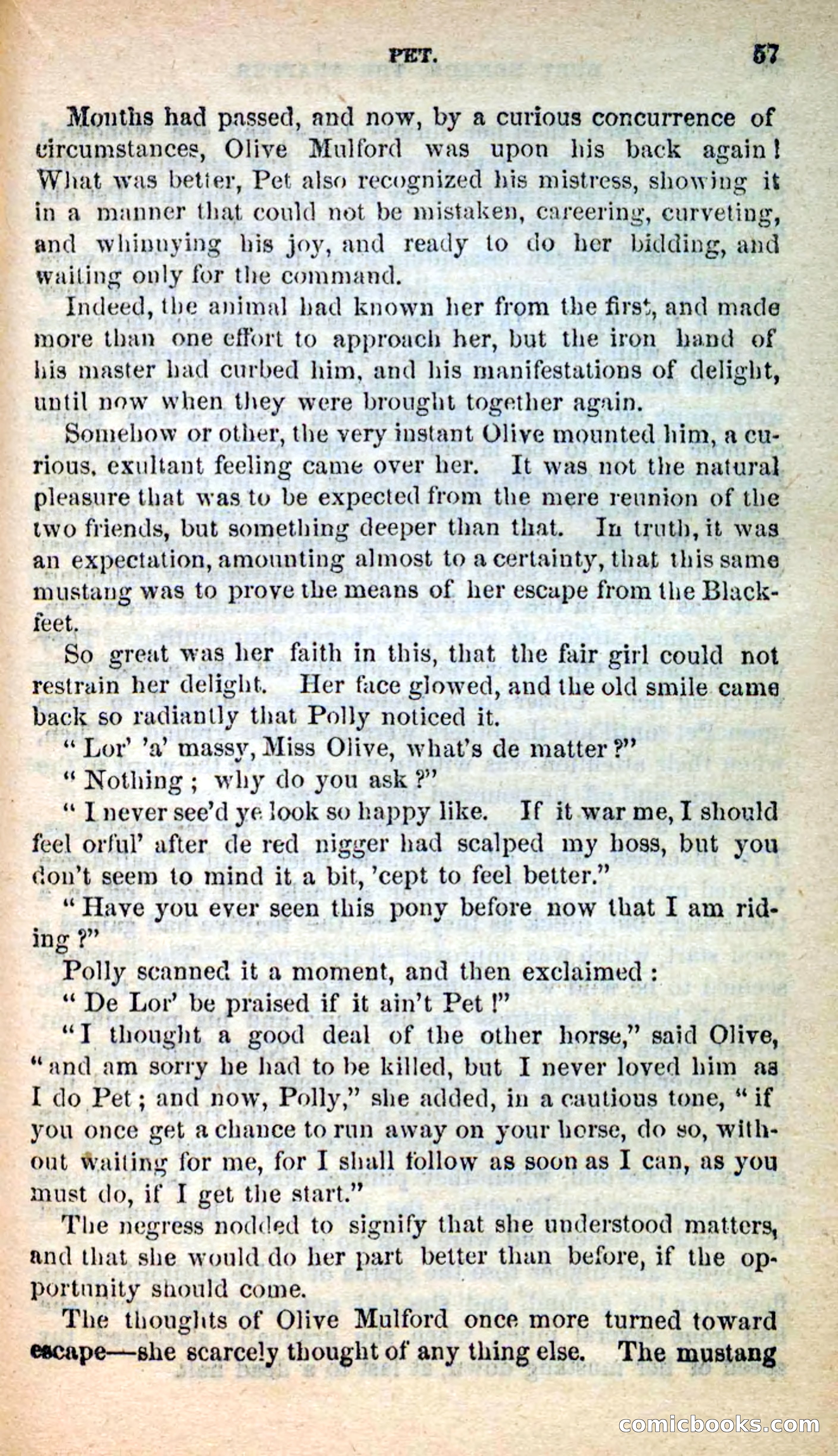 Beadle's New Dime Novels: Burt Bunker, the Trapper — page 53 of 100
