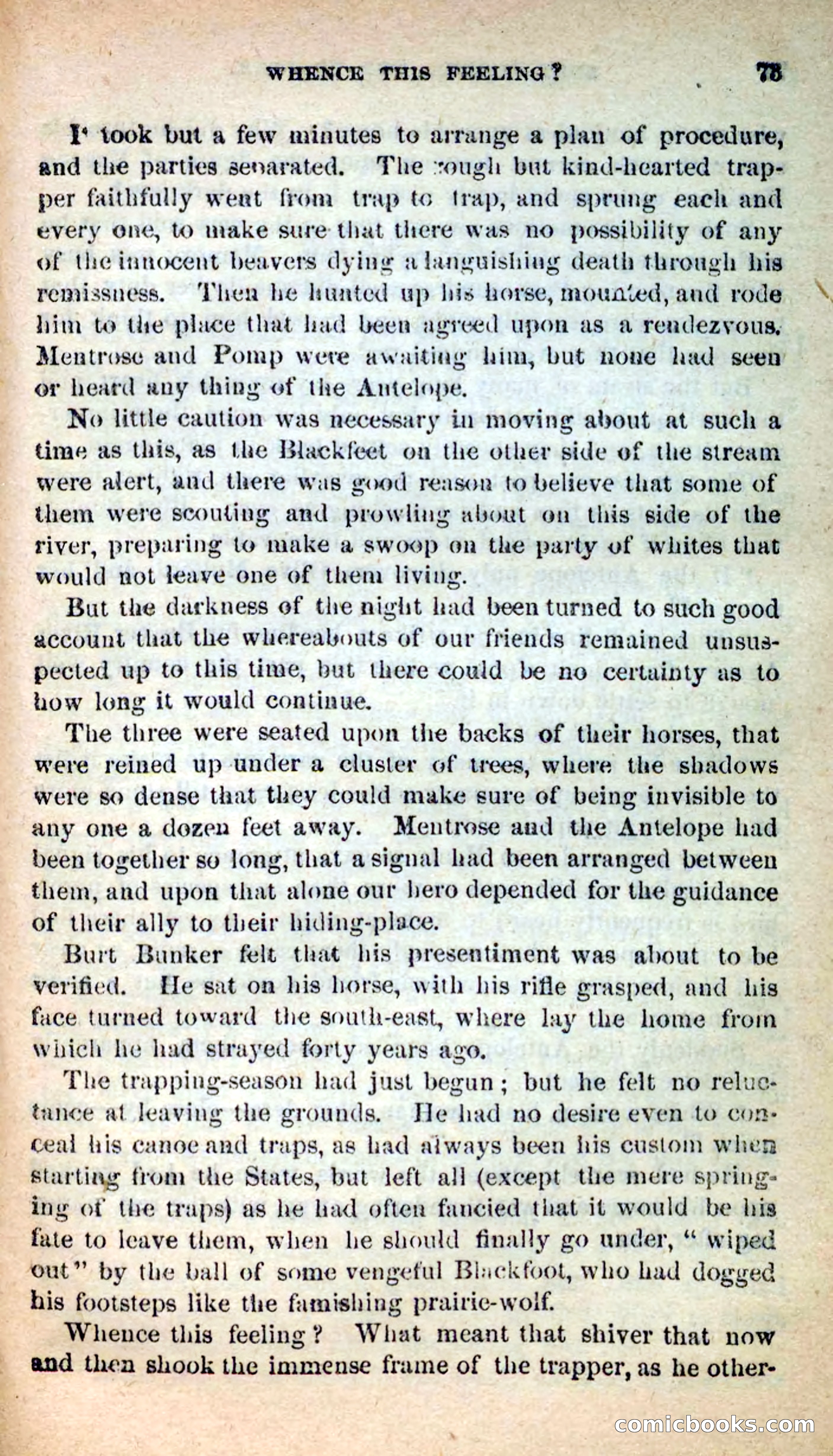 Beadle's New Dime Novels: Burt Bunker, the Trapper — page 69 of 100
