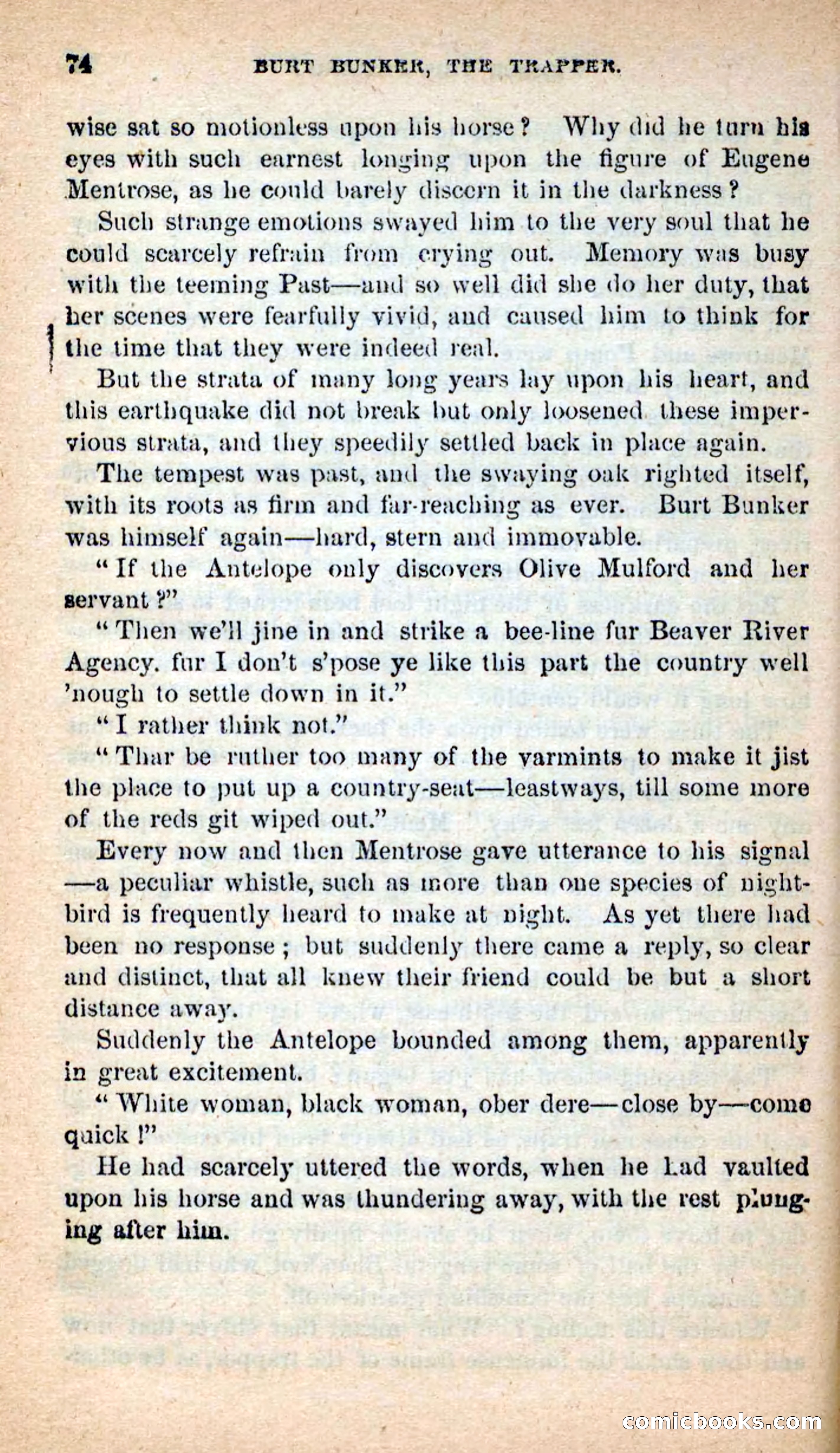 Beadle's New Dime Novels: Burt Bunker, the Trapper — page 70 of 100