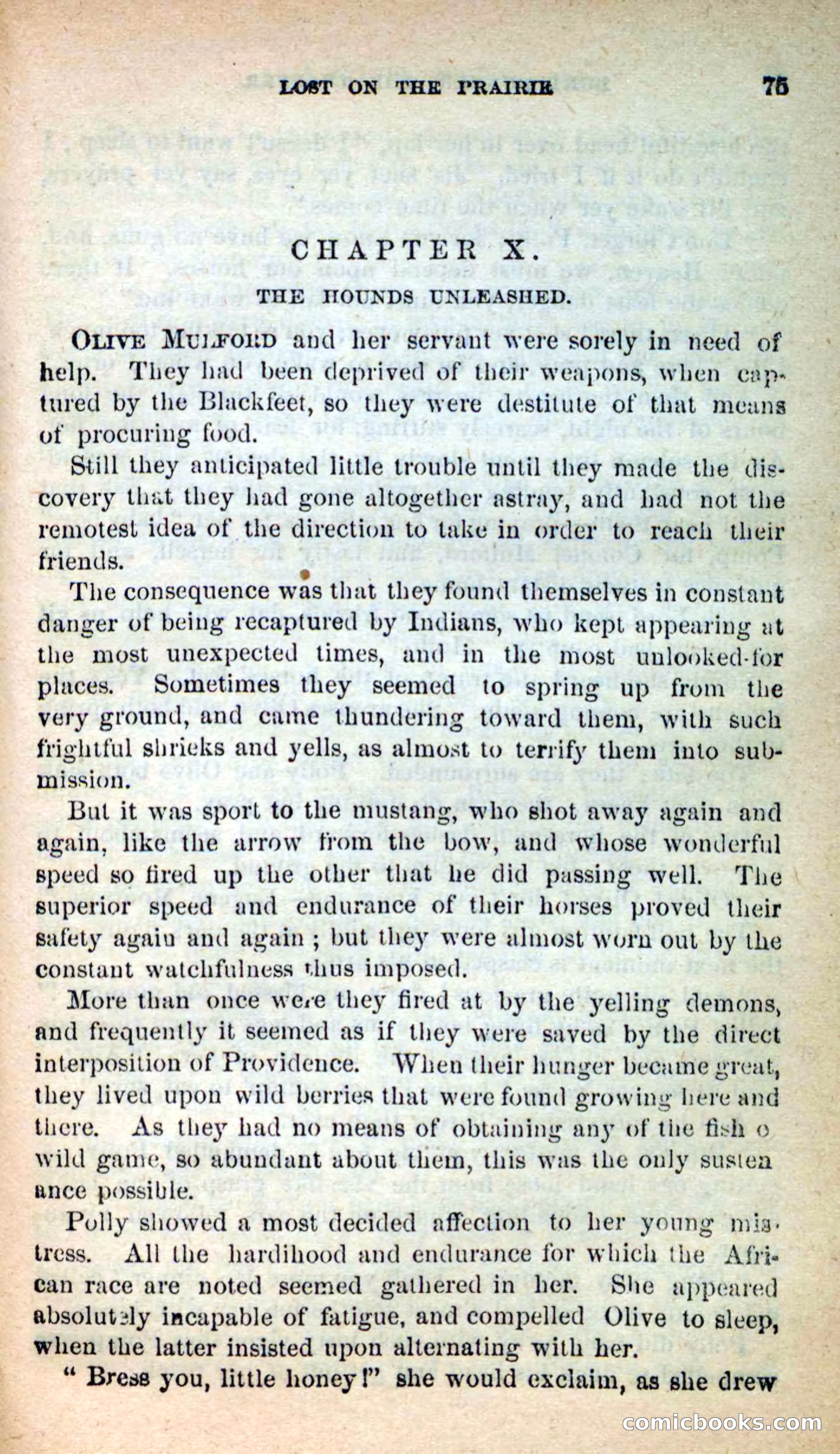Beadle's New Dime Novels: Burt Bunker, the Trapper — page 71 of 100
