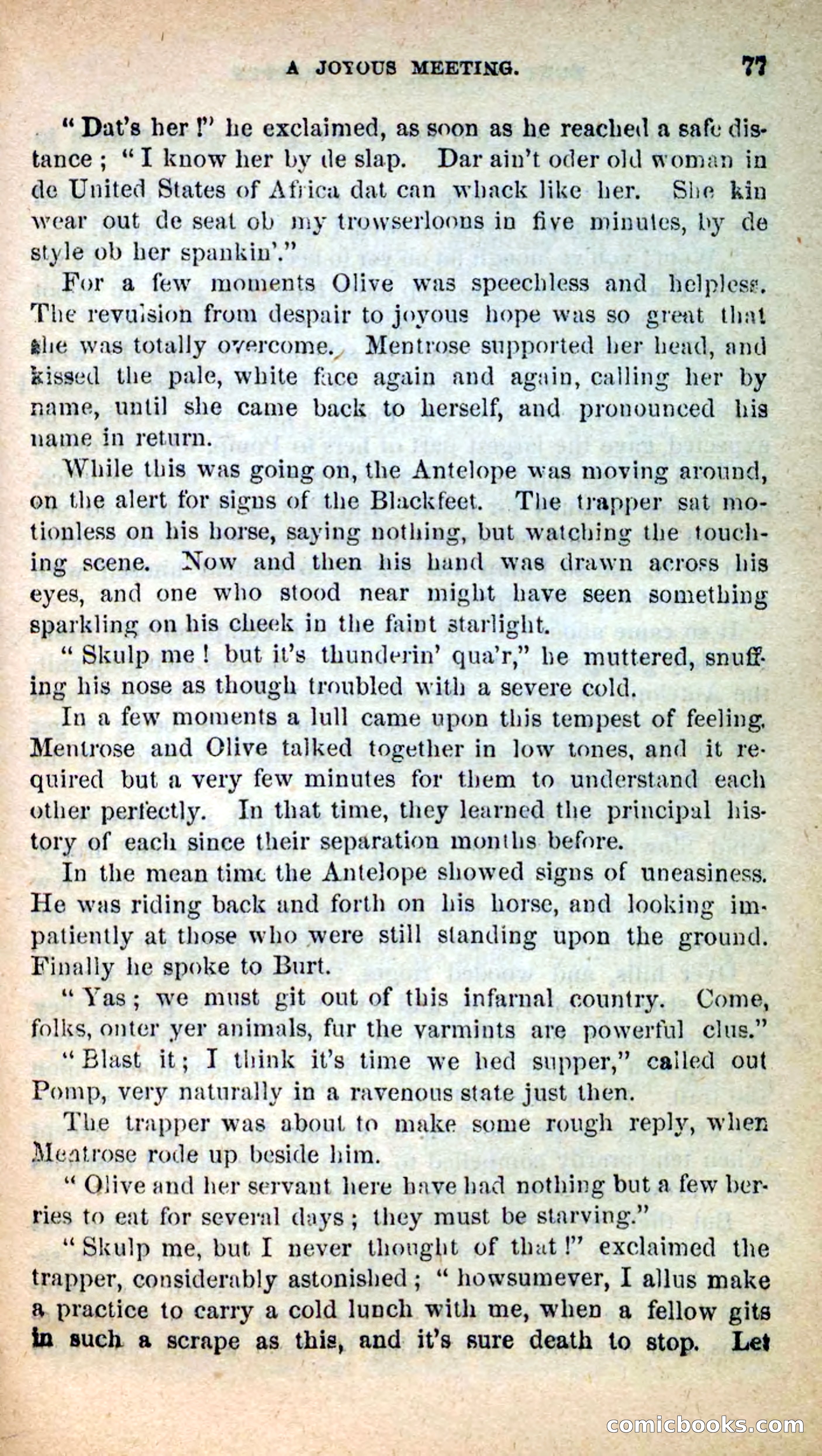 Beadle's New Dime Novels: Burt Bunker, the Trapper — page 73 of 100