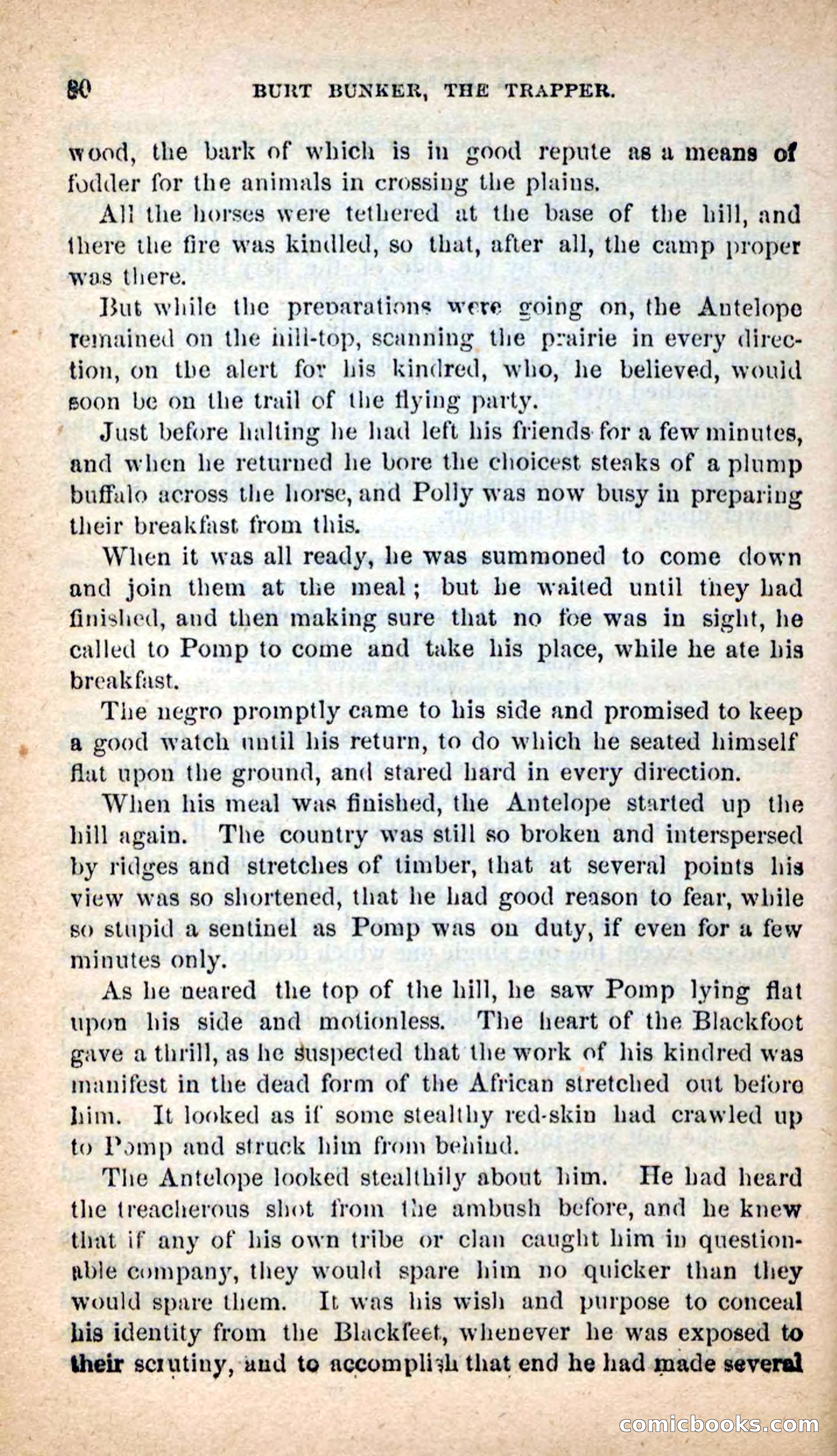 Beadle's New Dime Novels: Burt Bunker, the Trapper — page 76 of 100