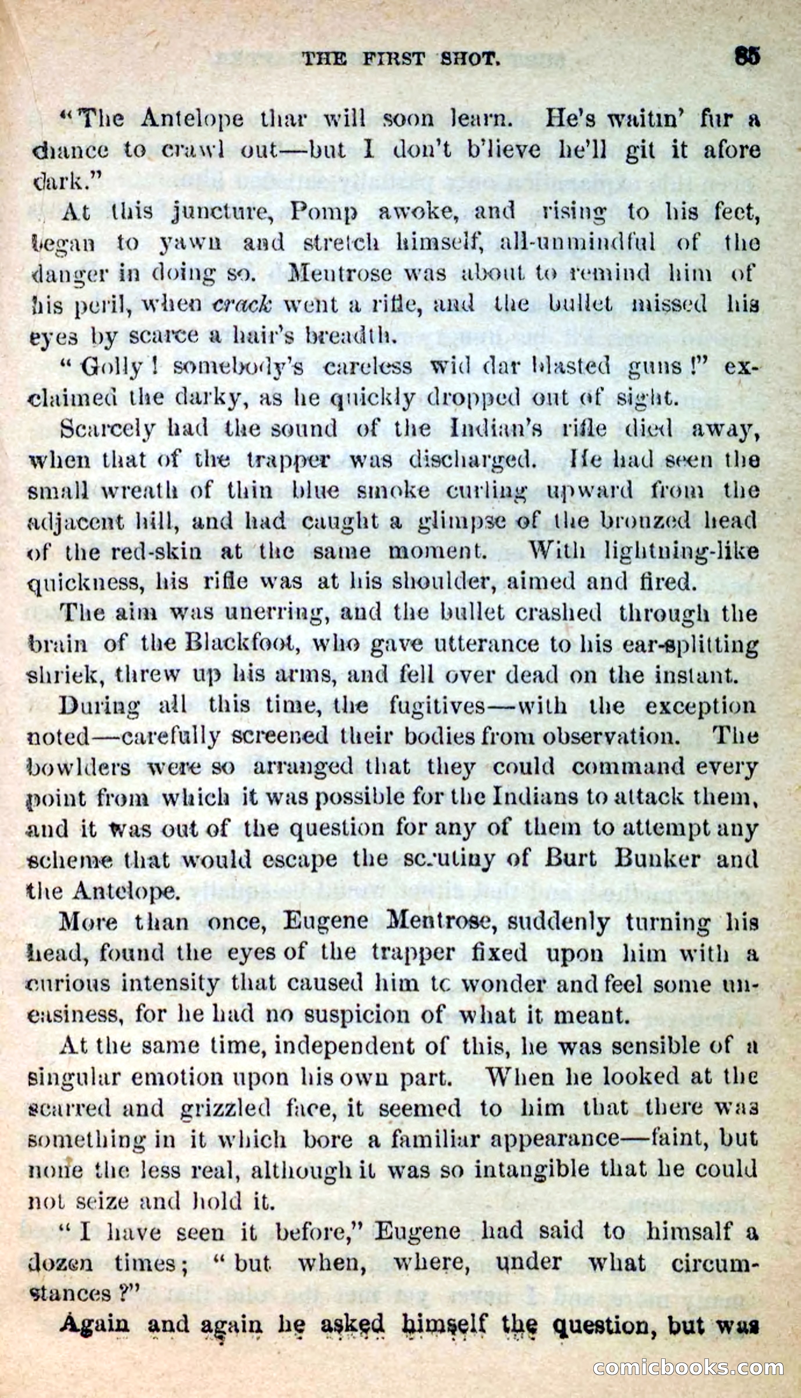 Beadle's New Dime Novels: Burt Bunker, the Trapper — page 81 of 100