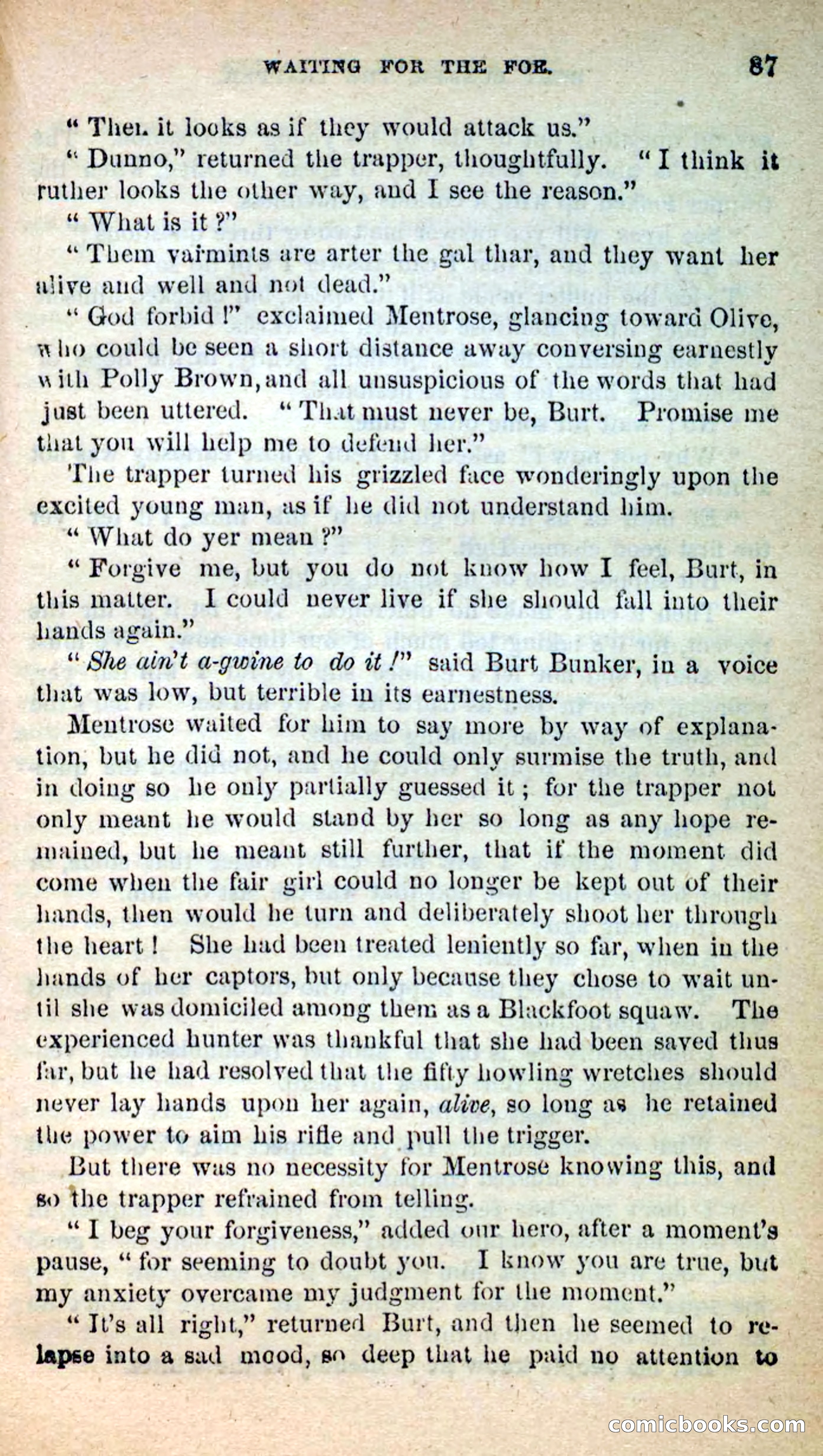 Beadle's New Dime Novels: Burt Bunker, the Trapper — page 83 of 100
