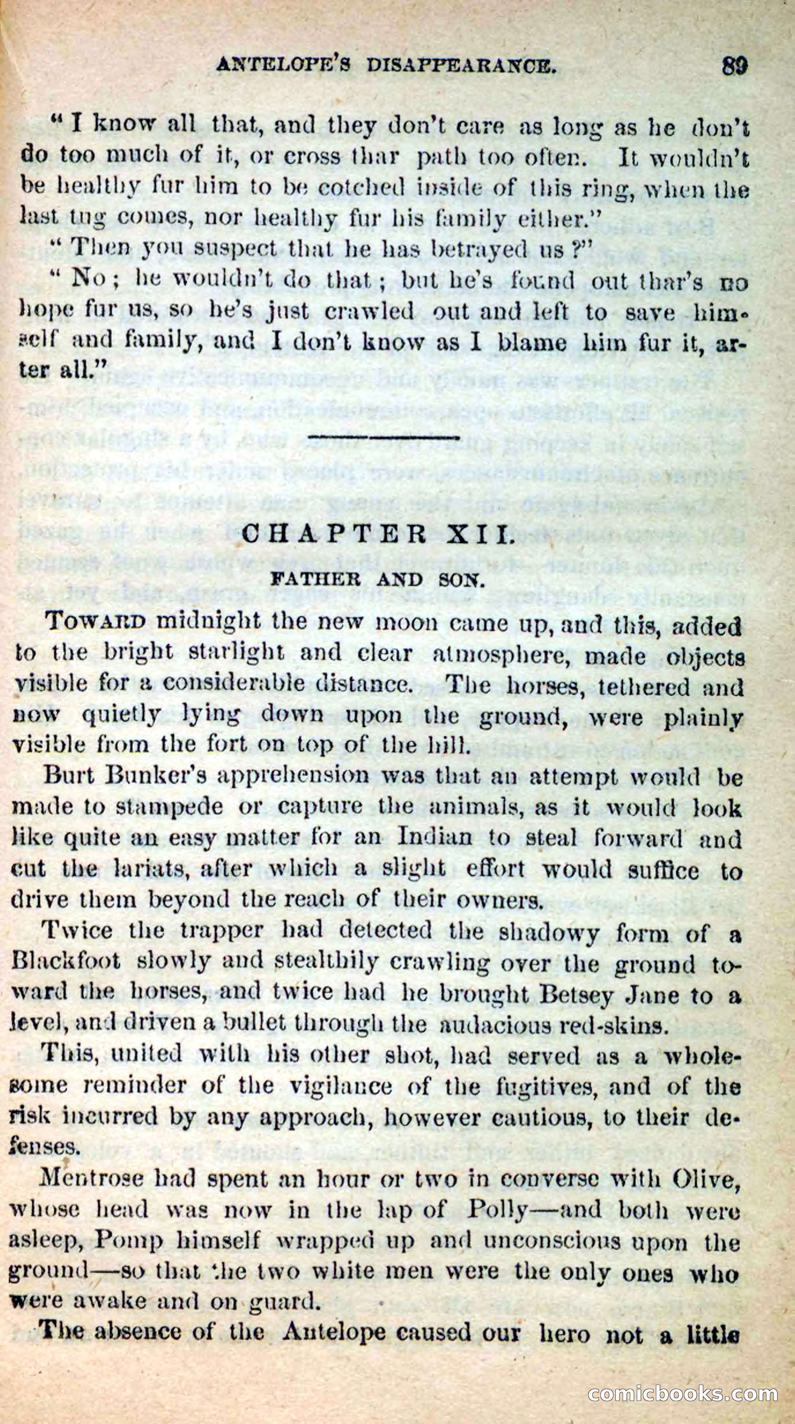 Beadle's New Dime Novels: Burt Bunker, the Trapper — page 85 of 100