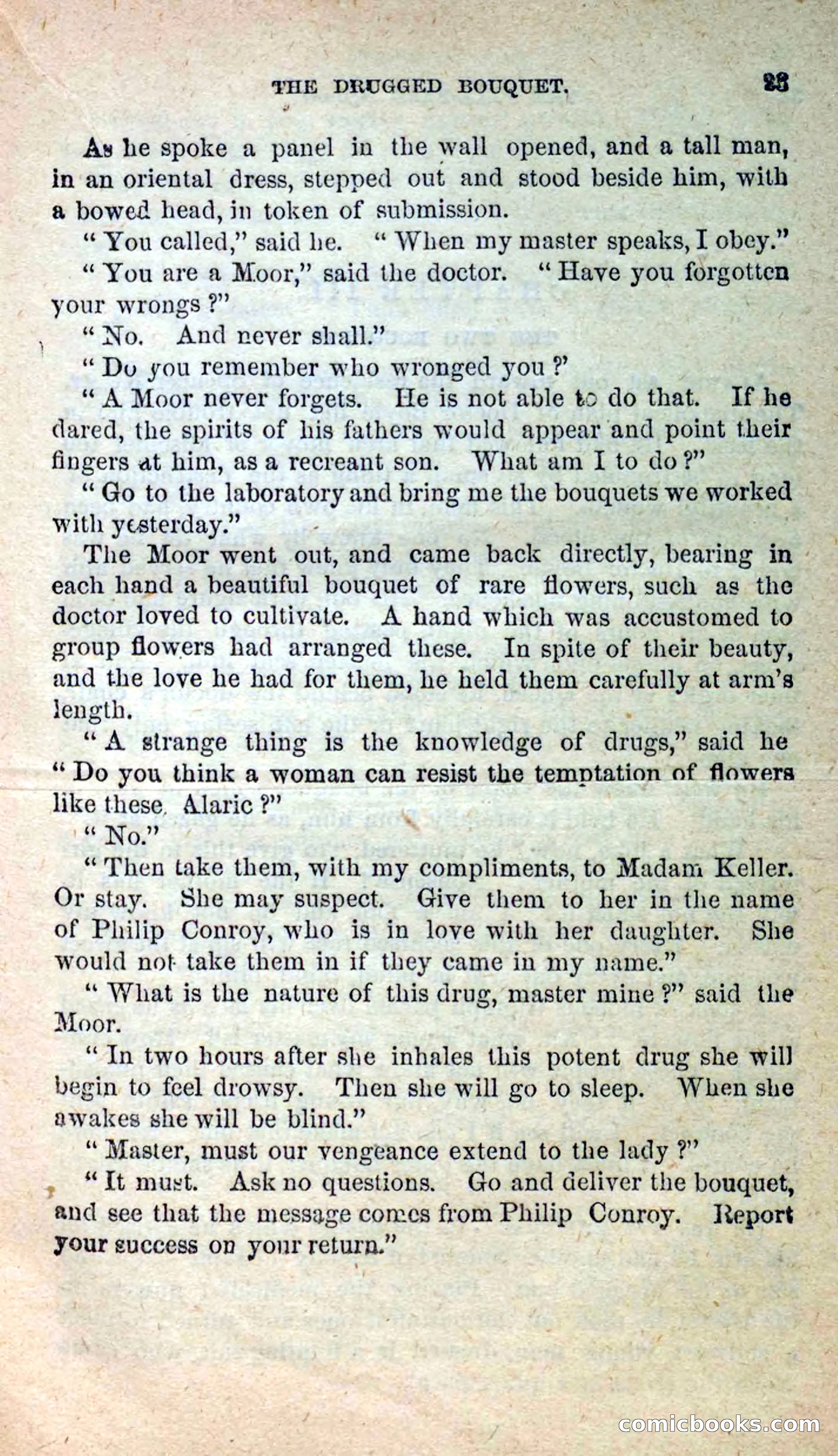 The Pale-Face Squaw — page 19 of 100